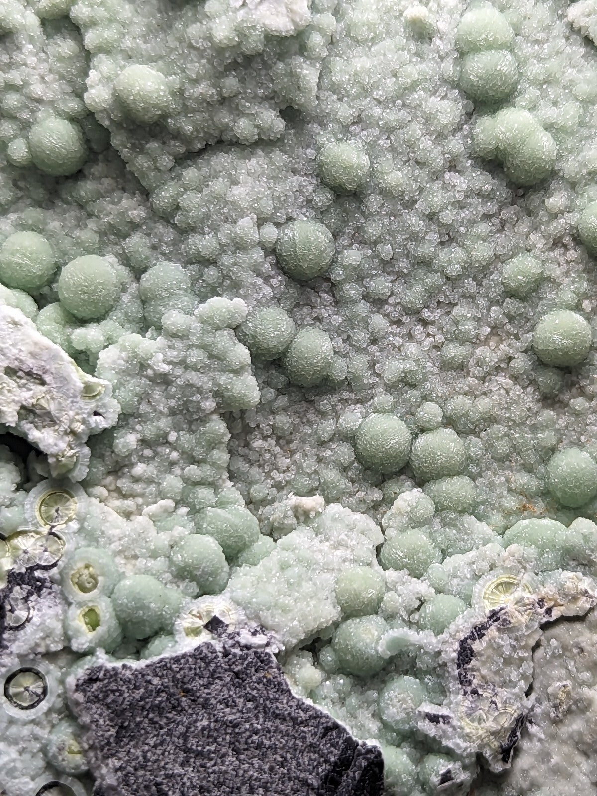 A cluster of pale green, spherical mineral formations with a crystalline texture.
