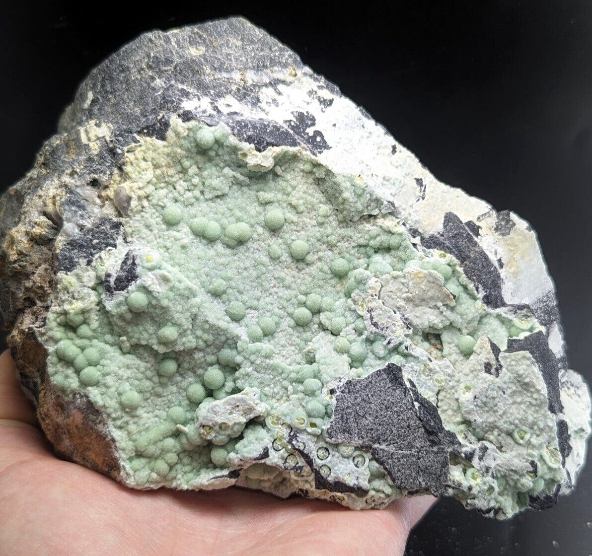 A hand holds a rough, irregularly shaped rock specimen featuring clusters of light green, spherical mineral formations against a backdrop of dark gray and white matrix.