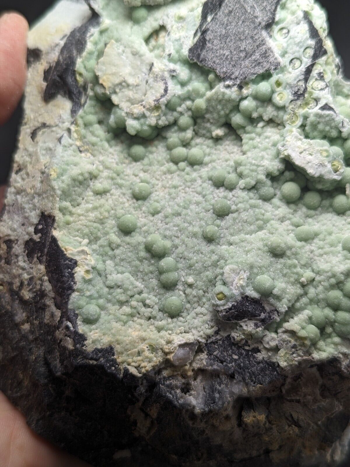 A striking green mineral specimen featuring a textured surface with numerous small, rounded nodules and patches of dark gray rock.