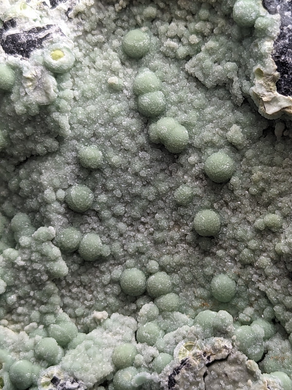 A textured mineral specimen featuring clusters of pale green, spherical crystals embedded in a matrix of white and gray crystalline formations.