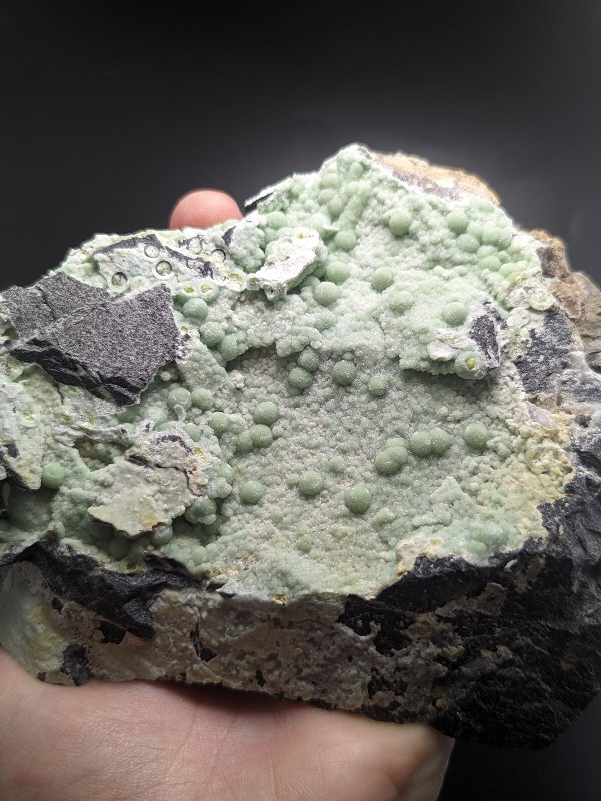 A hand holds a geological specimen featuring clusters of pale green, spherical crystals growing on a dark gray and black rock matrix.