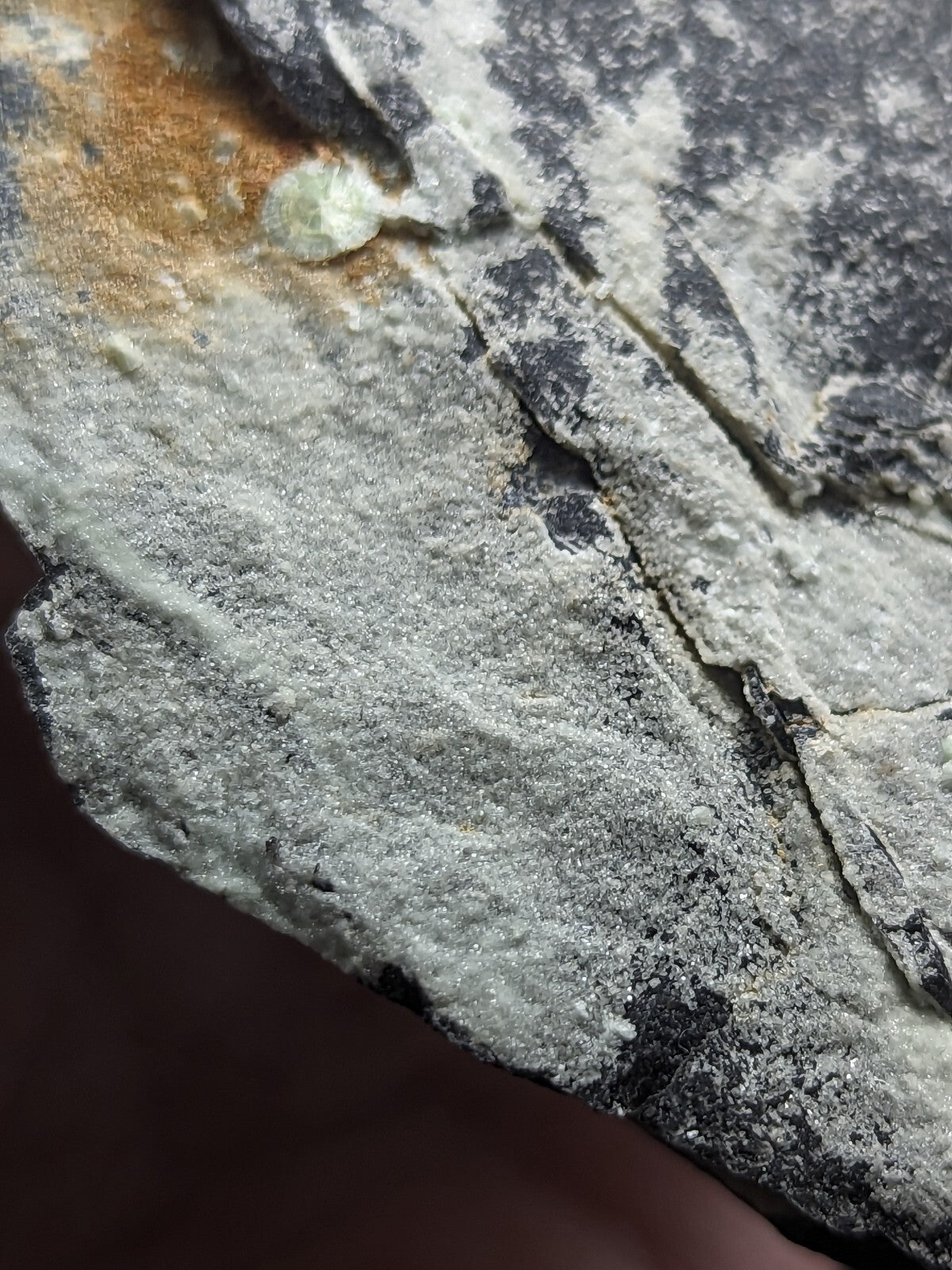 A textured gray rock surface with a rough, granular appearance and subtle black veining.