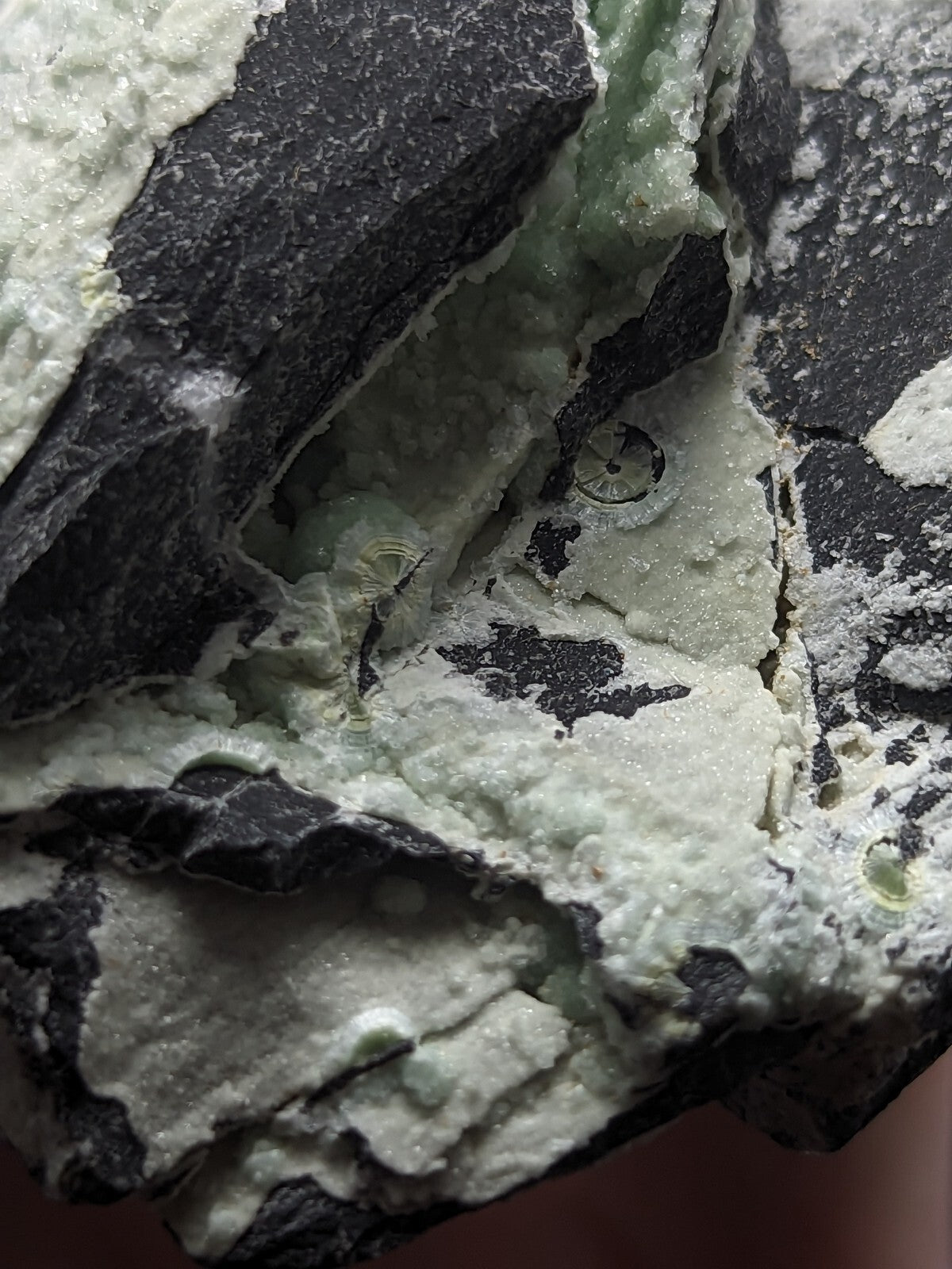 A striking mineral specimen featuring a dark, rugged matrix interwoven with vibrant green crystalline formations.