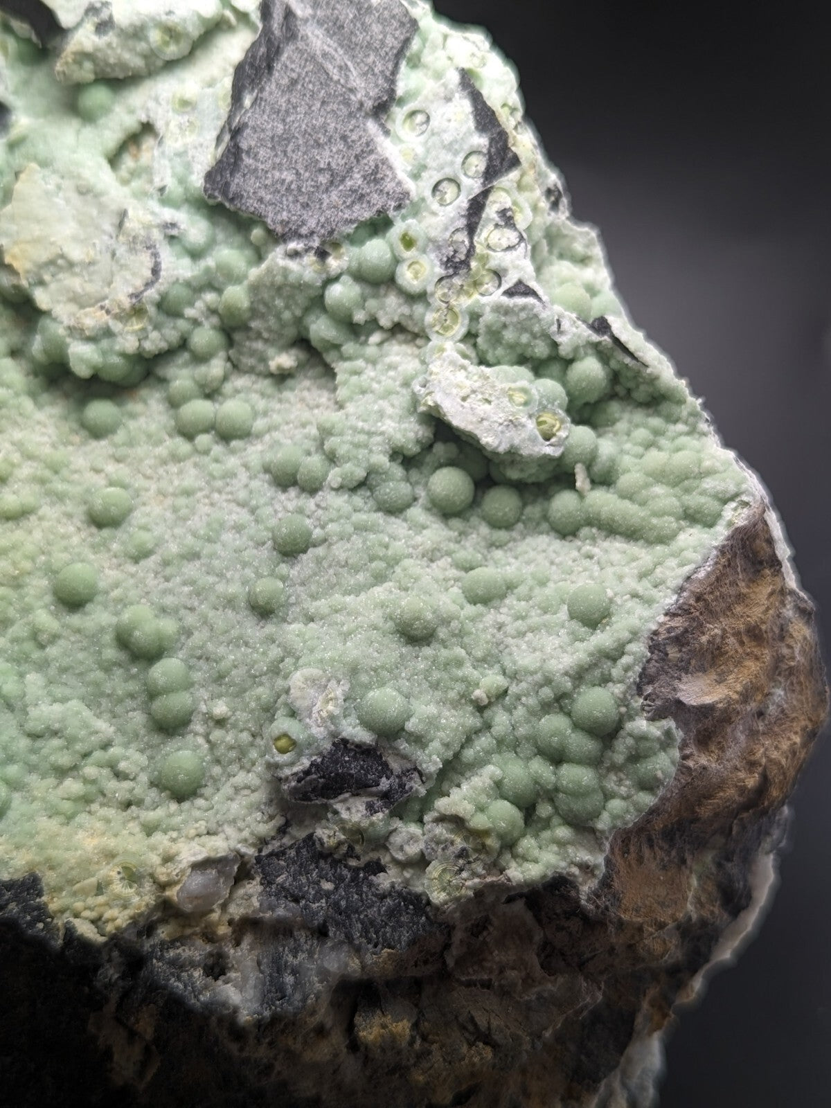 A pale green, textured mineral specimen featuring rounded nodules and patches of darker gray rock.