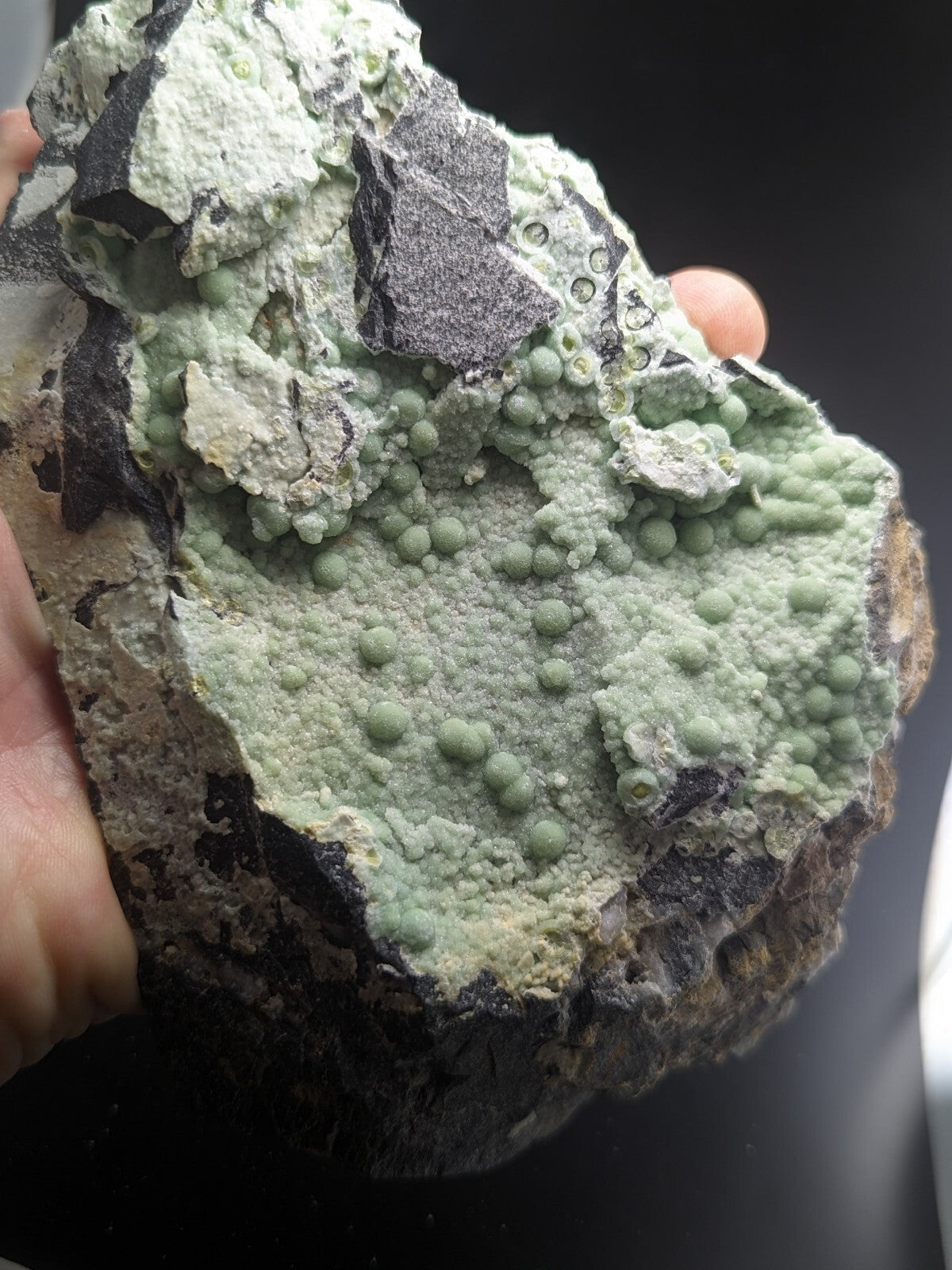 A hand holds a rough, irregularly shaped mineral specimen featuring clusters of small green spherical formations on a pale gray and dark black matrix.