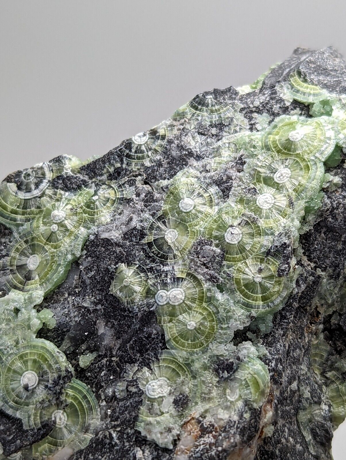 Large Wavellite - Fantastic 1990s Old Stock - Mauldin Mountain Arkansas - Collectibles:Rocks Fossils &