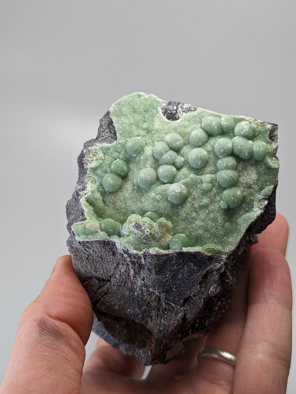 Large Wavellite - Fantastic Old Stock - Mauldin Mountain Arkansas - Collectibles:Rocks Fossils & Minerals:Crystals