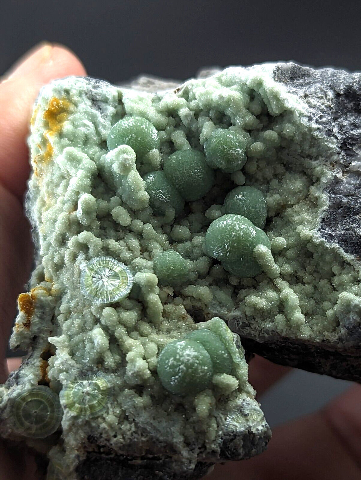 Large Wavellite - Fantastic Old Stock - Mauldin Mountain Arkansas - Collectibles:Rocks Fossils & Minerals:Crystals