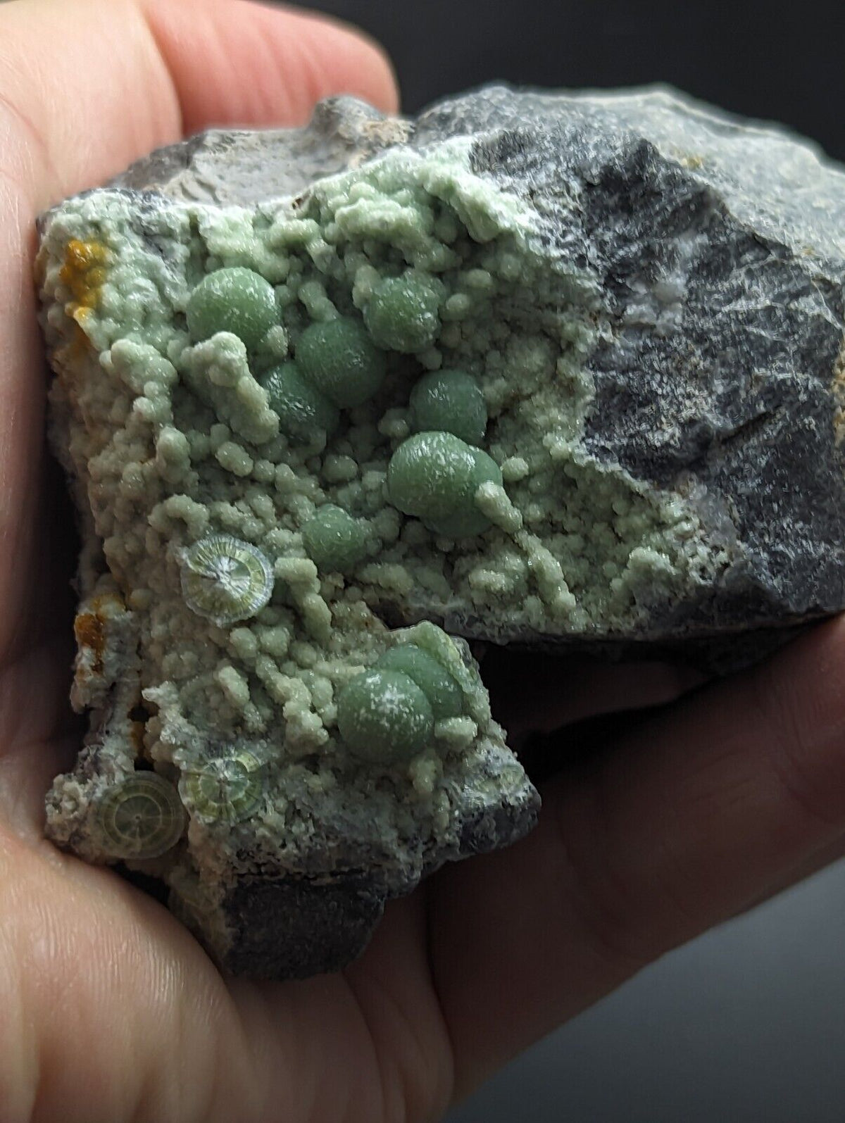 Large Wavellite - Fantastic Old Stock - Mauldin Mountain Arkansas - Collectibles:Rocks Fossils & Minerals:Crystals