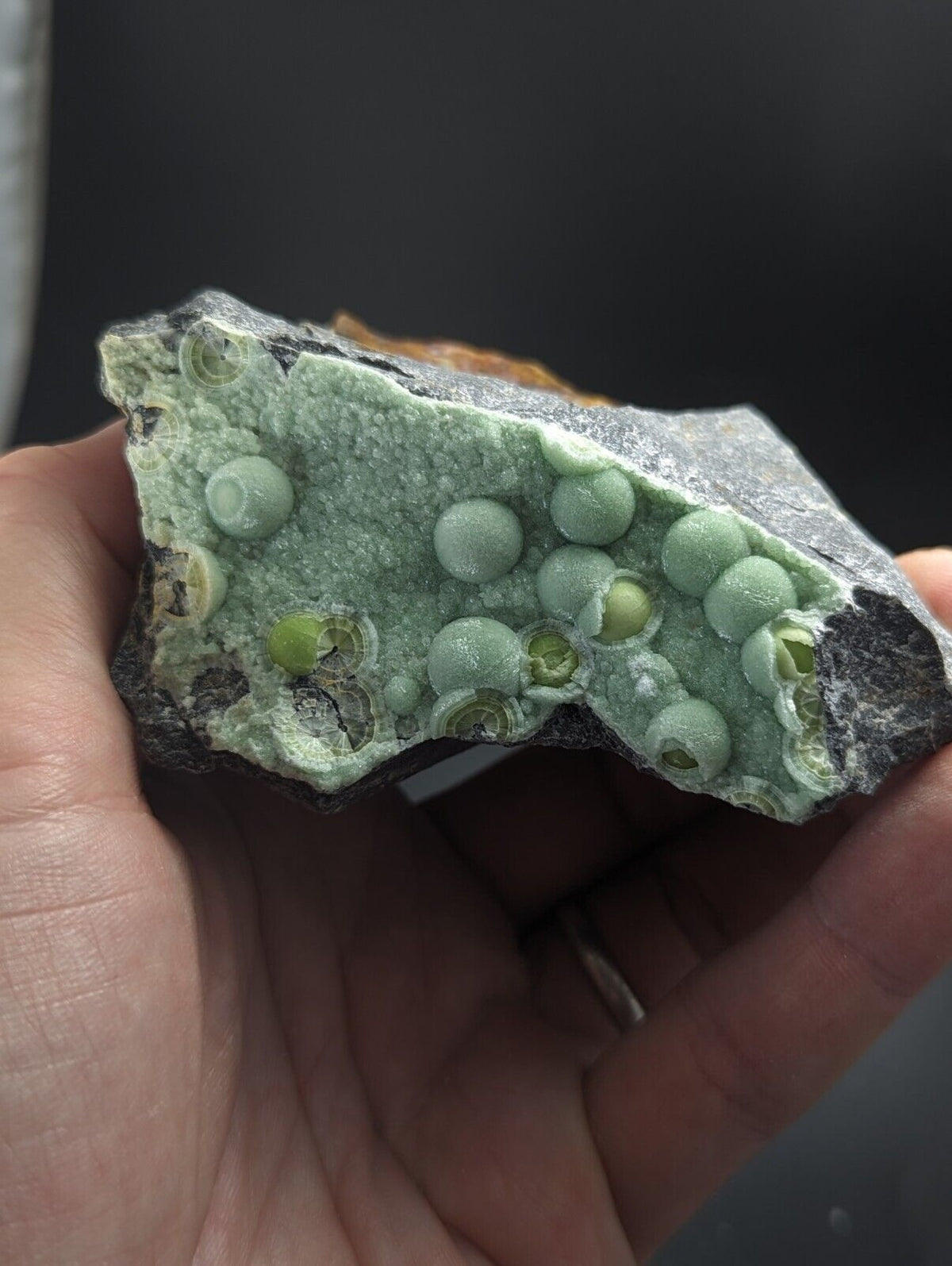 Large Wavellite - Fantastic Old Stock - Mauldin Mountain Arkansas - Collectibles:Rocks Fossils & Minerals:Crystals