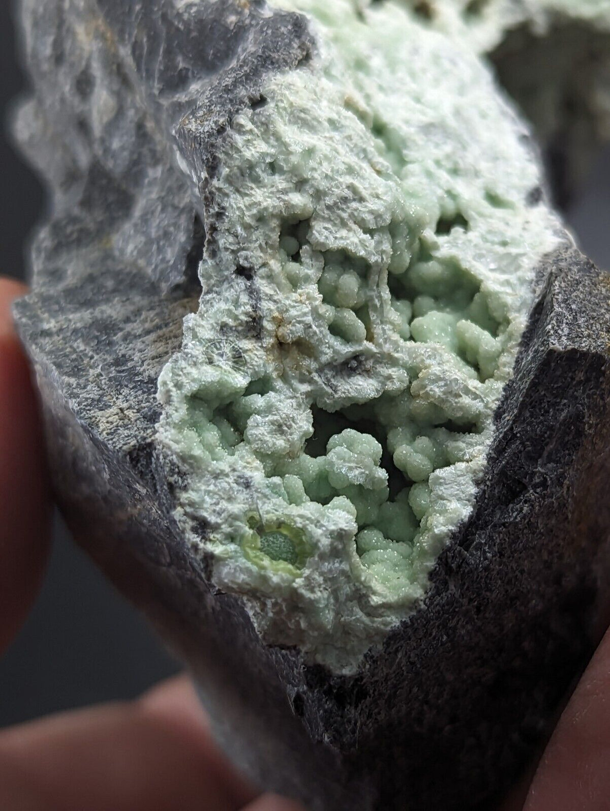 Large Wavellite - Fantastic Old Stock - Mauldin Mountain Arkansas - Collectibles:Rocks Fossils & Minerals:Crystals