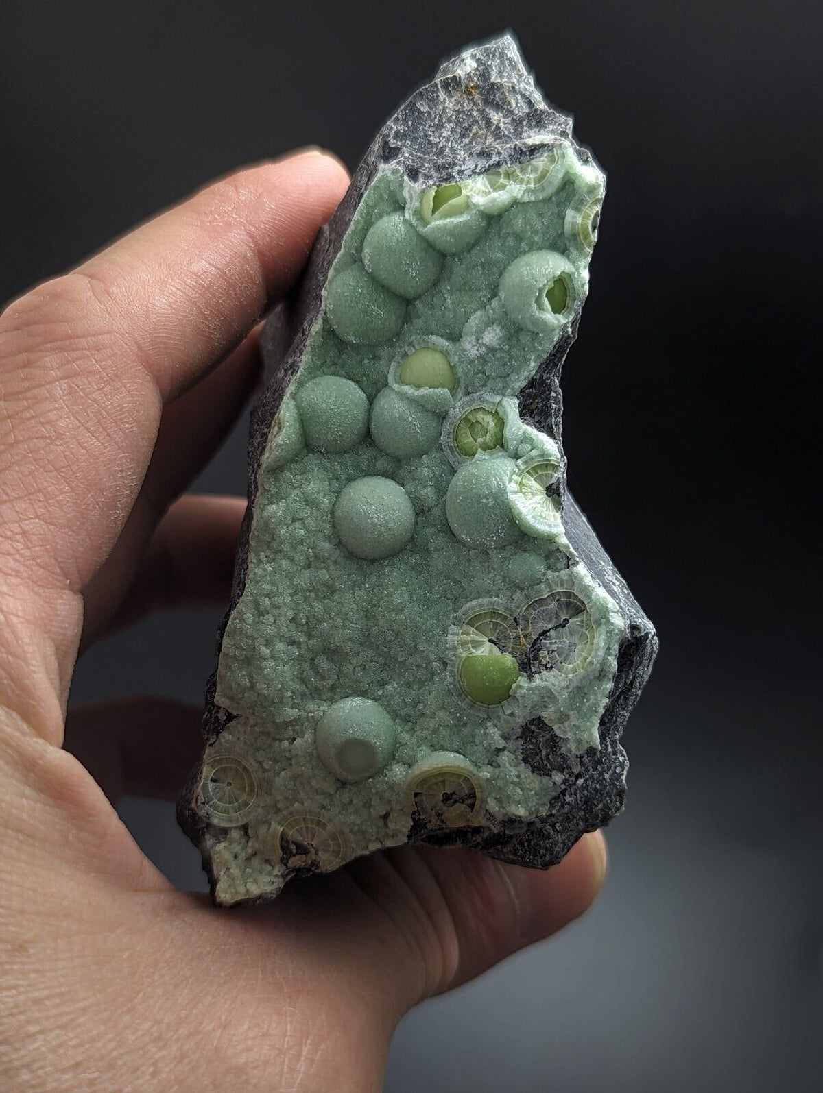 Large Wavellite - Fantastic Old Stock - Mauldin Mountain Arkansas - Collectibles:Rocks Fossils & Minerals:Crystals