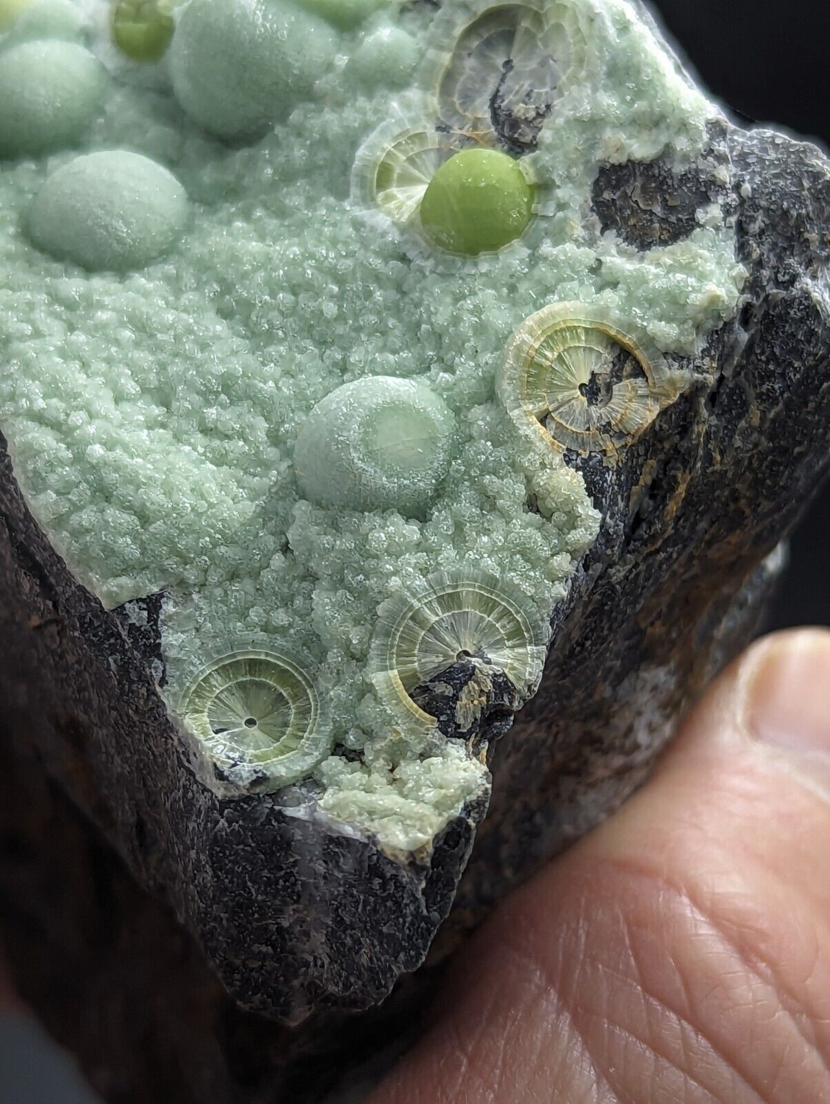 Large Wavellite - Fantastic Old Stock - Mauldin Mountain Arkansas - Collectibles:Rocks Fossils & Minerals:Crystals