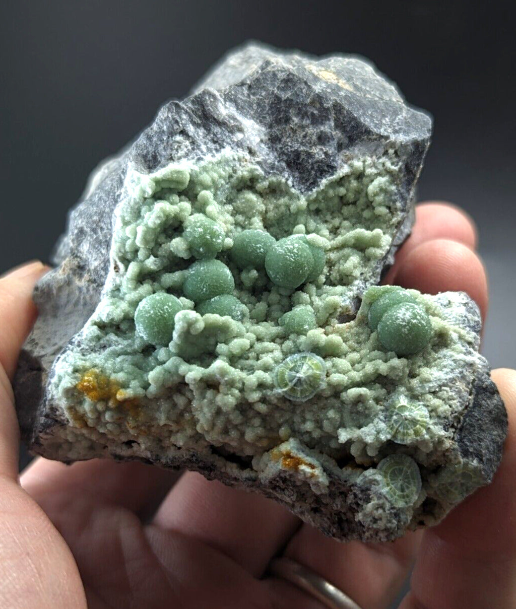 Large Wavellite - Fantastic Old Stock - Mauldin Mountain Arkansas - Collectibles:Rocks Fossils & Minerals:Crystals