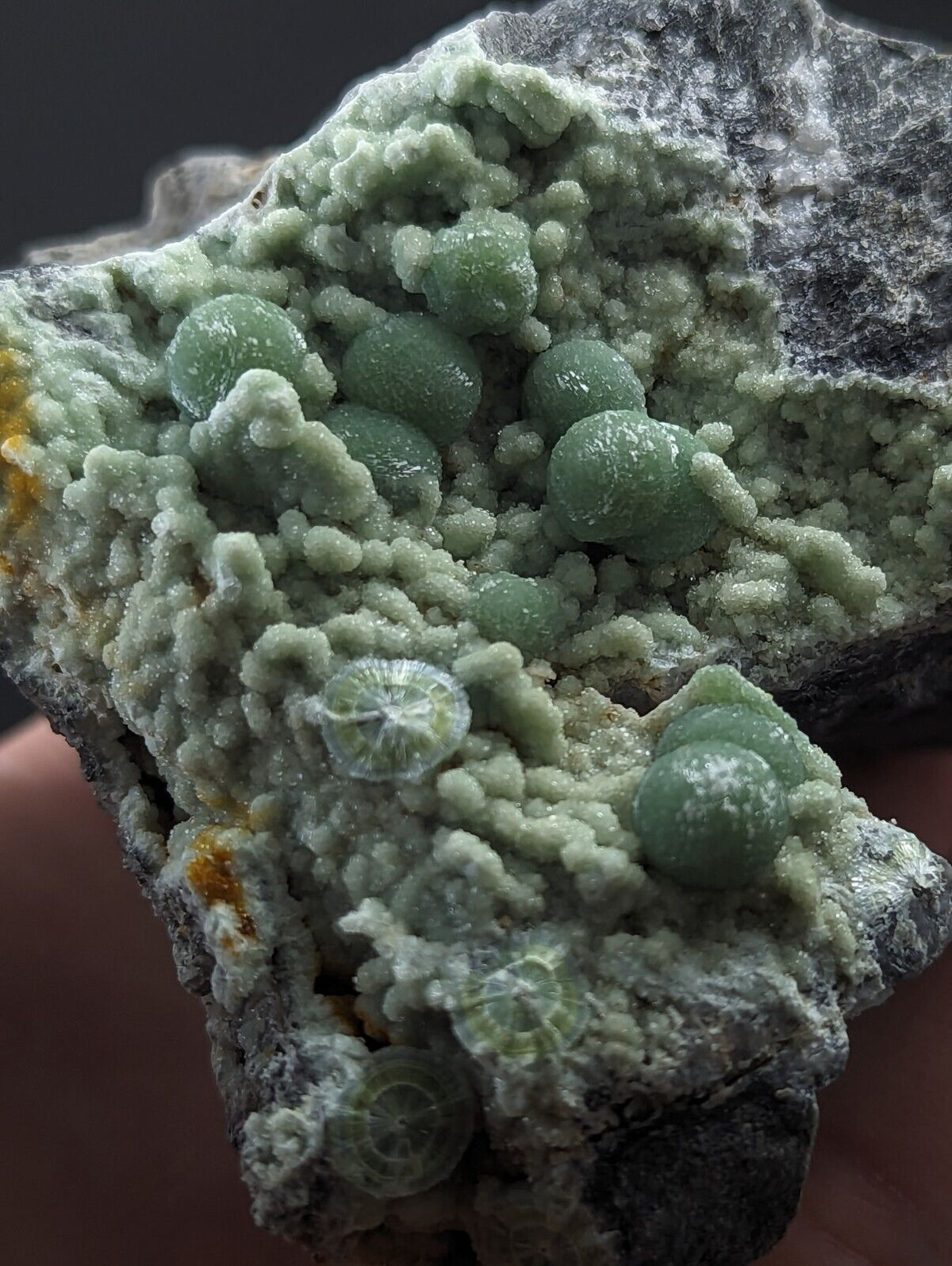Large Wavellite - Fantastic Old Stock - Mauldin Mountain Arkansas - Collectibles:Rocks Fossils & Minerals:Crystals