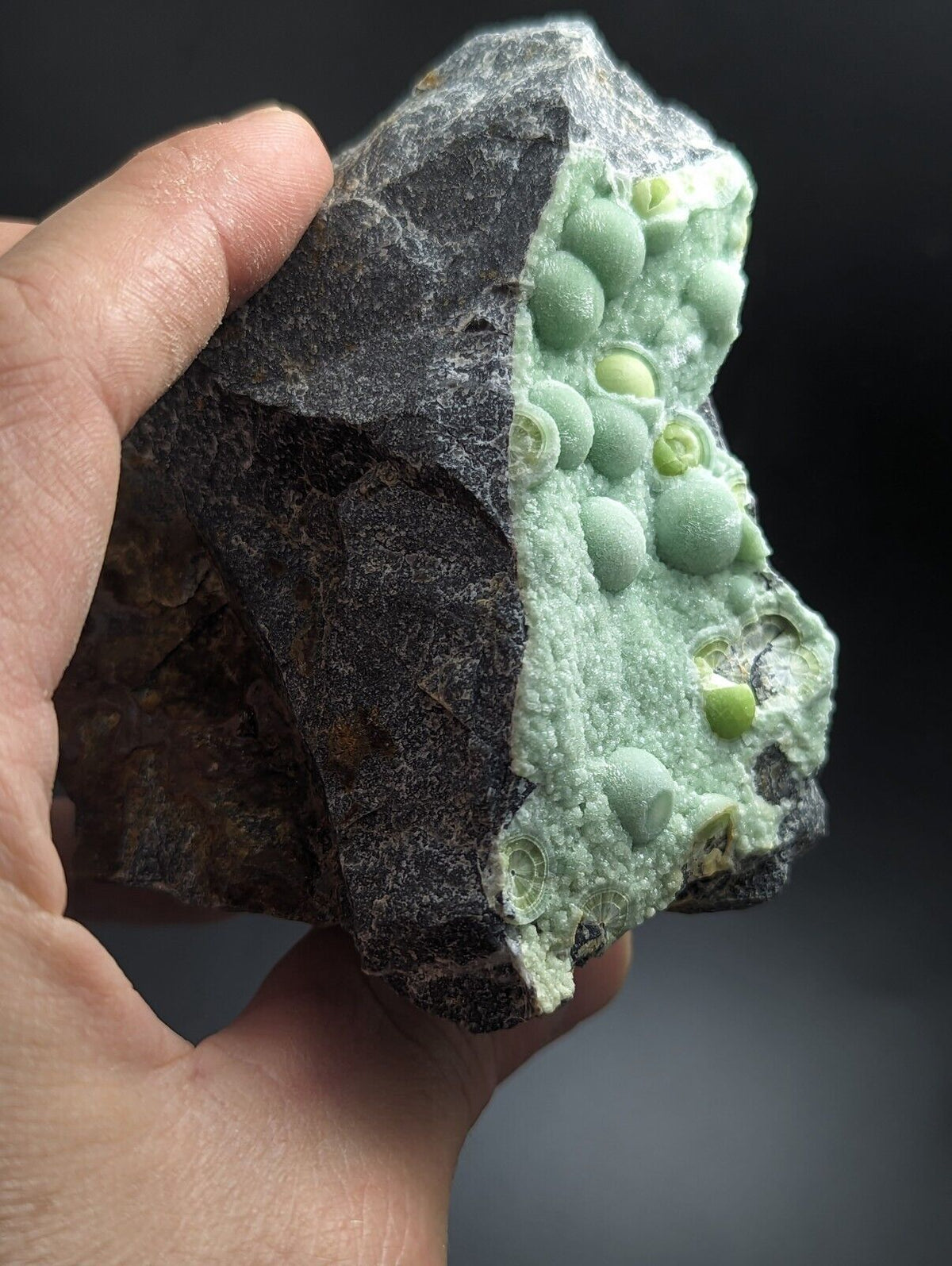 Large Wavellite - Fantastic Old Stock - Mauldin Mountain Arkansas - Collectibles:Rocks Fossils & Minerals:Crystals