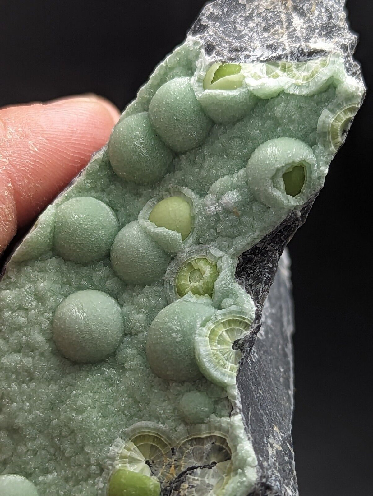 Large Wavellite - Fantastic Old Stock - Mauldin Mountain Arkansas - Collectibles:Rocks Fossils & Minerals:Crystals