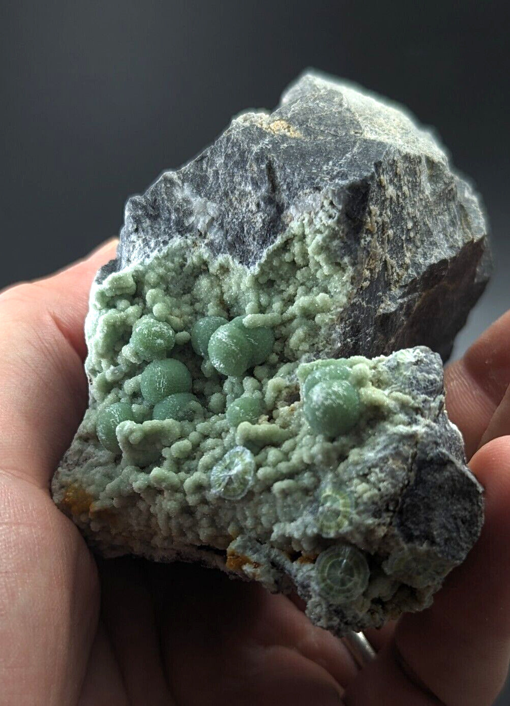 Large Wavellite - Fantastic Old Stock - Mauldin Mountain Arkansas - Collectibles:Rocks Fossils & Minerals:Crystals