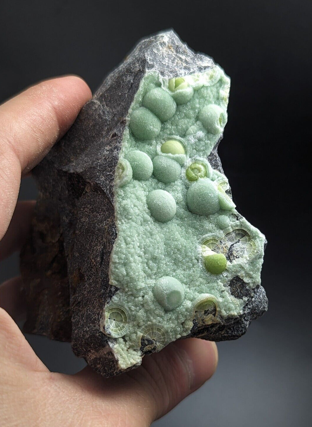 Large Wavellite - Fantastic Old Stock - Mauldin Mountain Arkansas - Collectibles:Rocks Fossils & Minerals:Crystals
