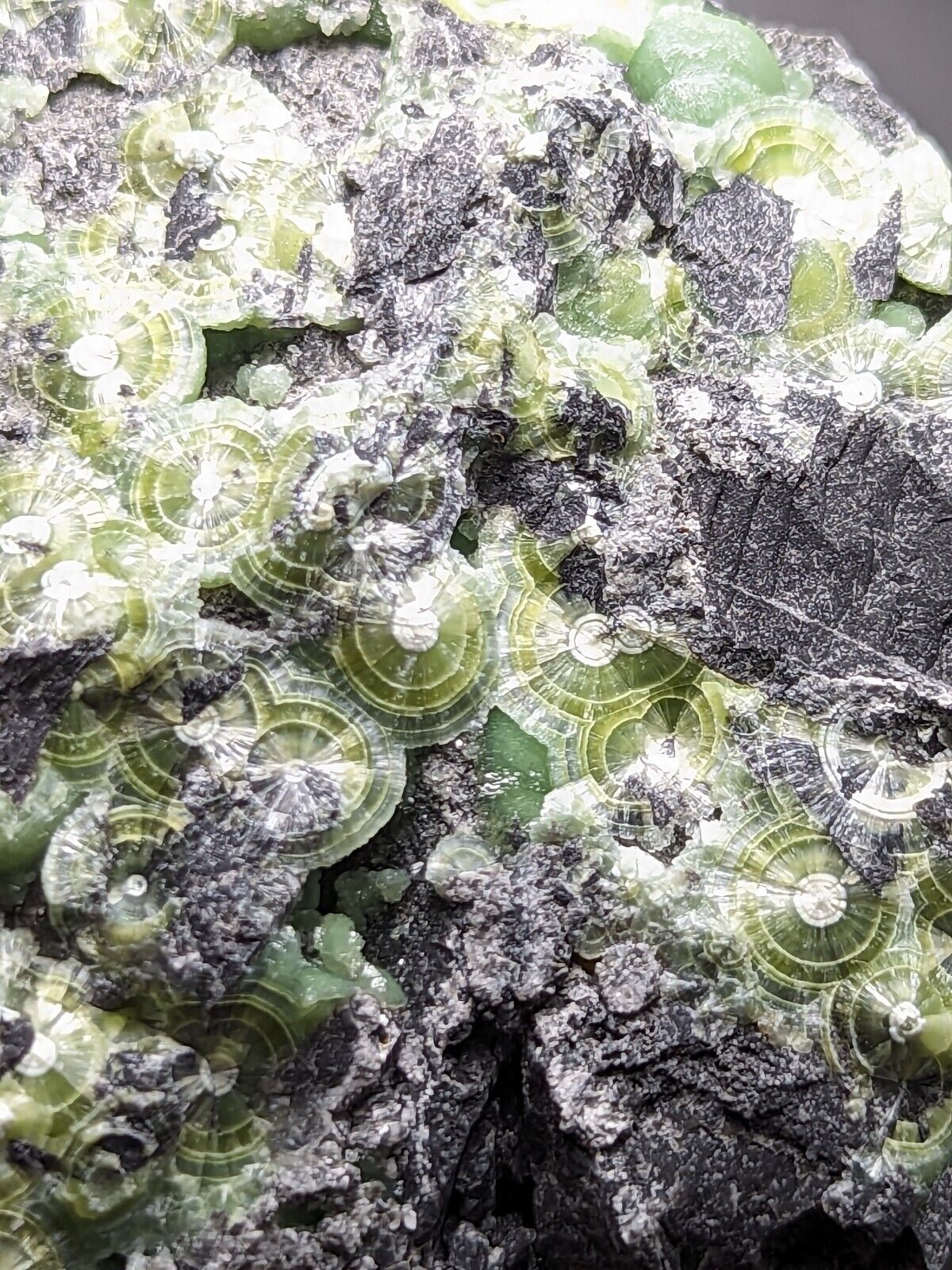 Large Wavellite - Fantastic Old Stock - Mauldin Mountain Arkansas ooak - Collectibles:Rocks Fossils & Minerals:Crystals