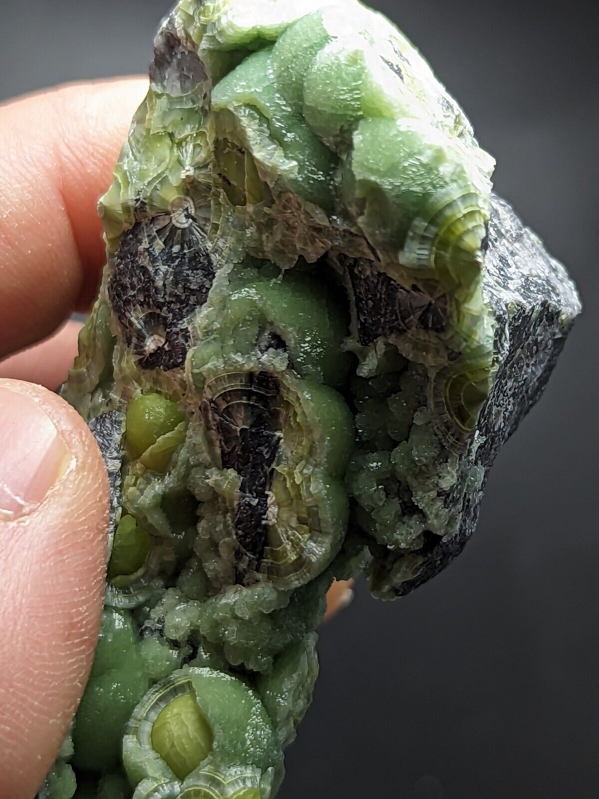 Large Wavellite - Fantastic Old Stock - Mauldin Mountain Arkansas ooak - Collectibles:Rocks Fossils & Minerals:Crystals