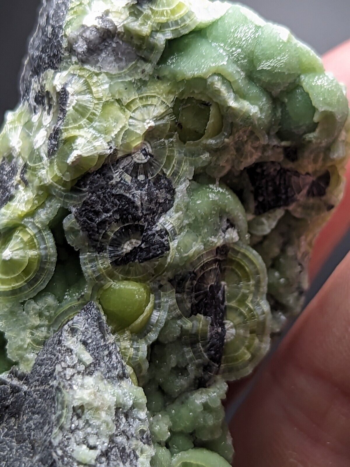 Large Wavellite - Fantastic Old Stock - Mauldin Mountain Arkansas ooak - Collectibles:Rocks Fossils & Minerals:Crystals