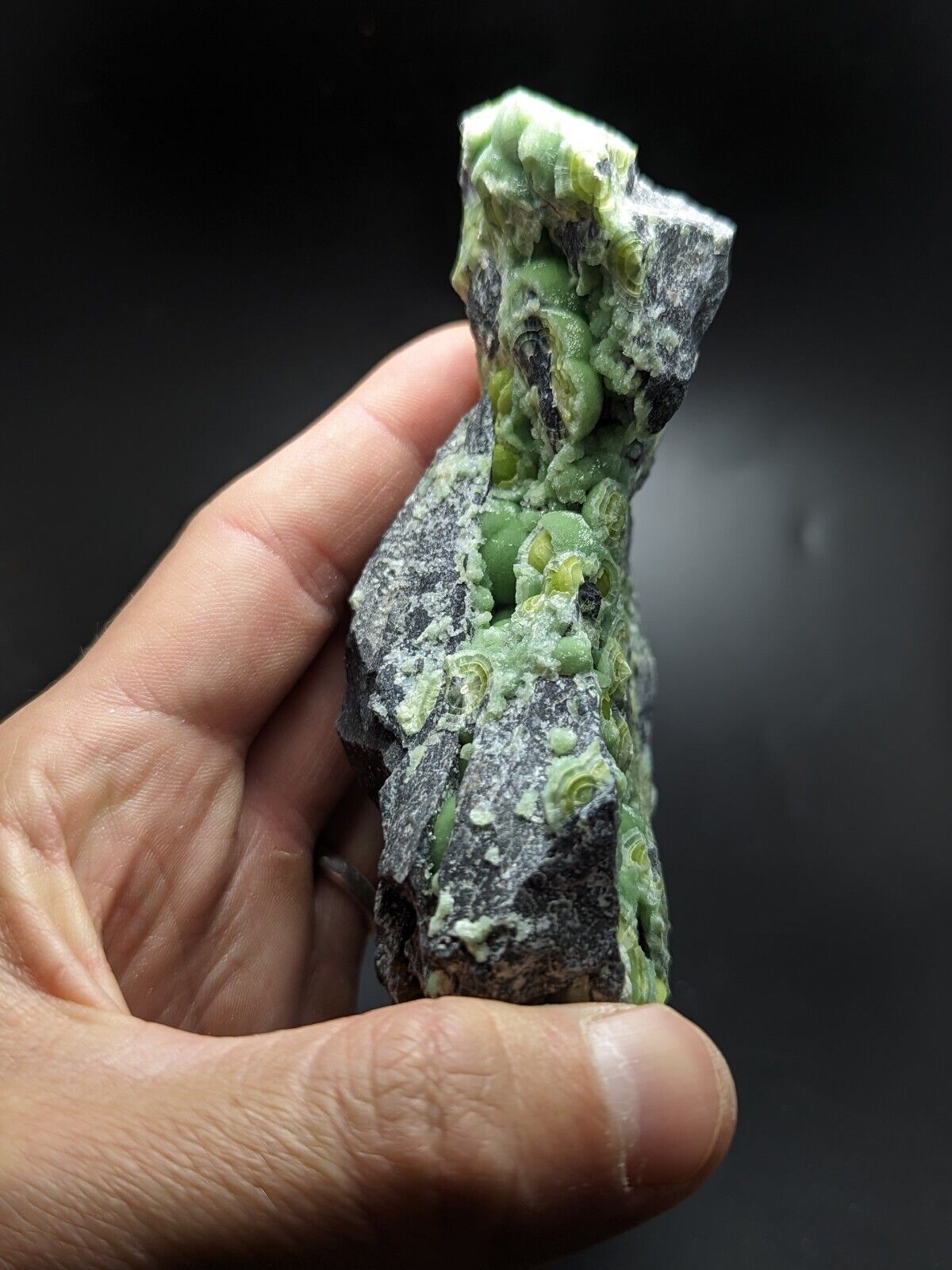 Large Wavellite - Fantastic Old Stock - Mauldin Mountain Arkansas ooak - Collectibles:Rocks Fossils & Minerals:Crystals