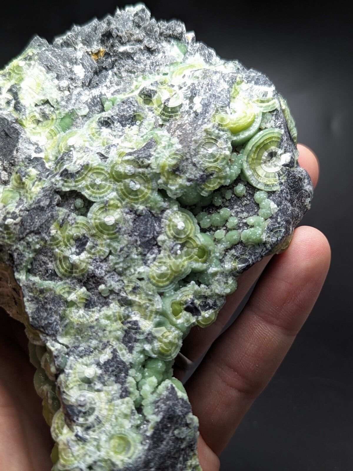 Large Wavellite - Fantastic Old Stock - Mauldin Mountain Arkansas ooak - Collectibles:Rocks Fossils & Minerals:Crystals