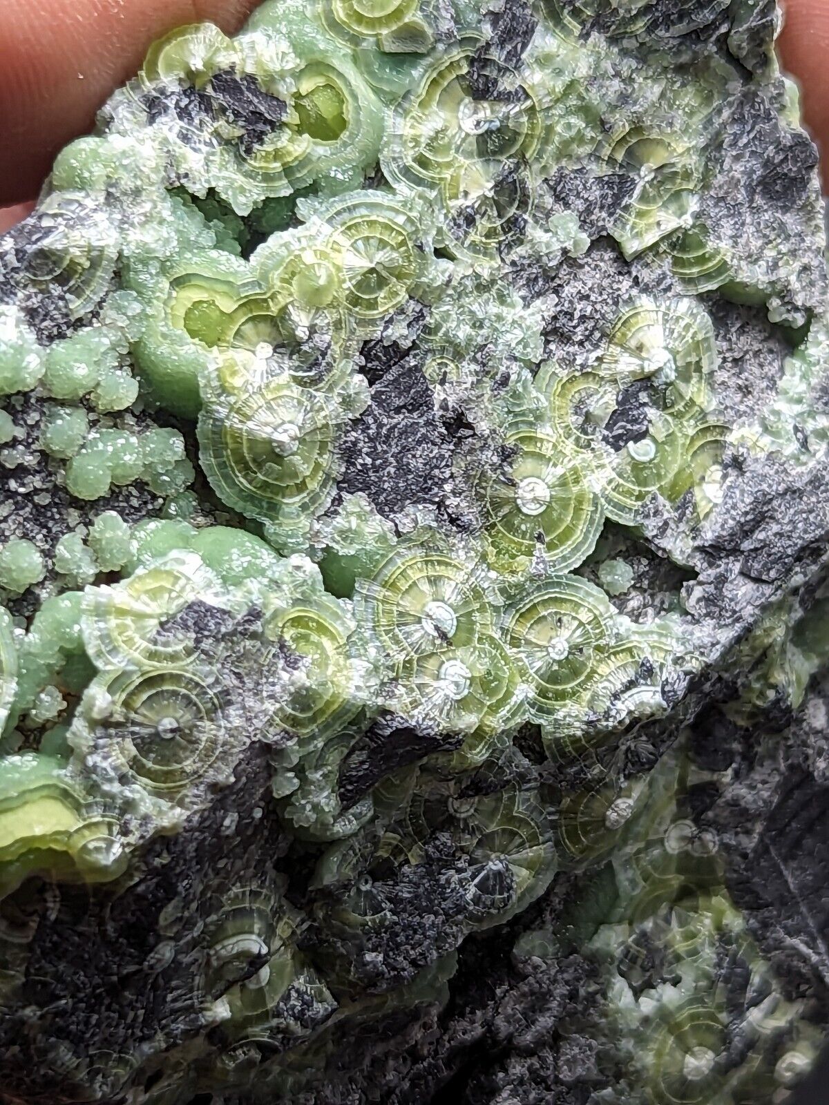 Large Wavellite - Fantastic Old Stock - Mauldin Mountain Arkansas ooak - Collectibles:Rocks Fossils & Minerals:Crystals