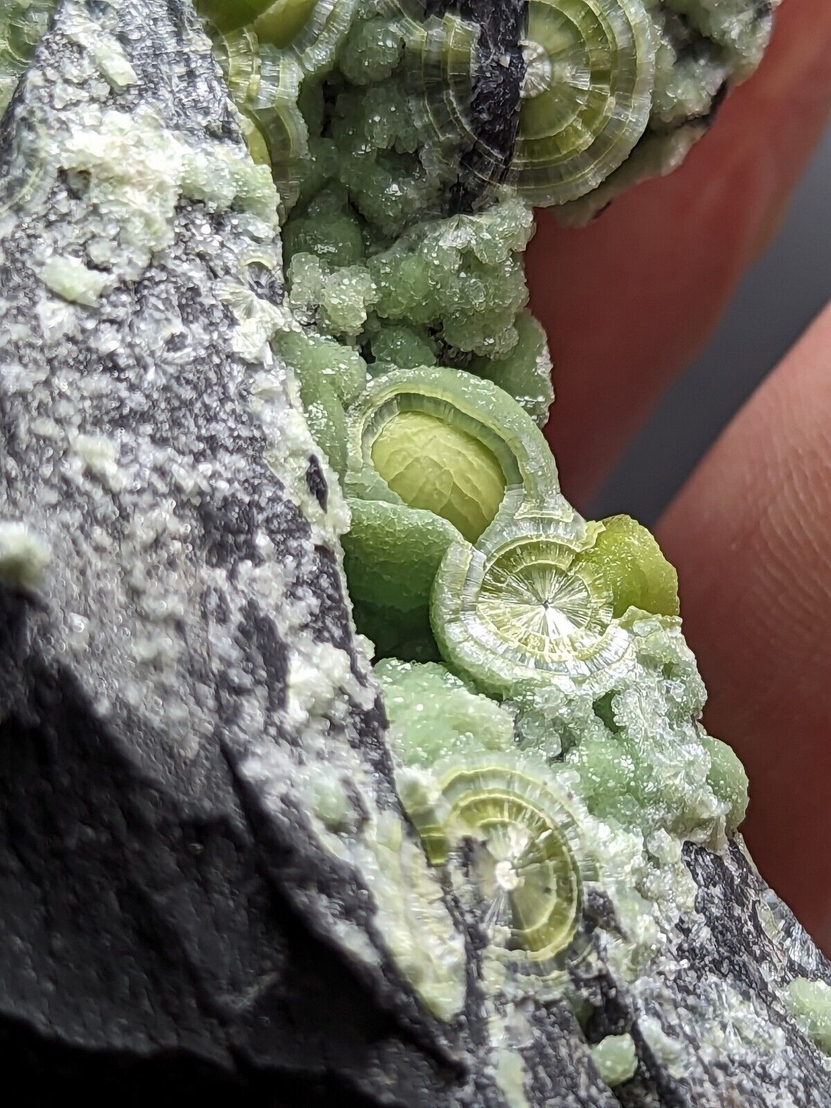 Large Wavellite - Fantastic Old Stock - Mauldin Mountain Arkansas ooak - Collectibles:Rocks Fossils & Minerals:Crystals