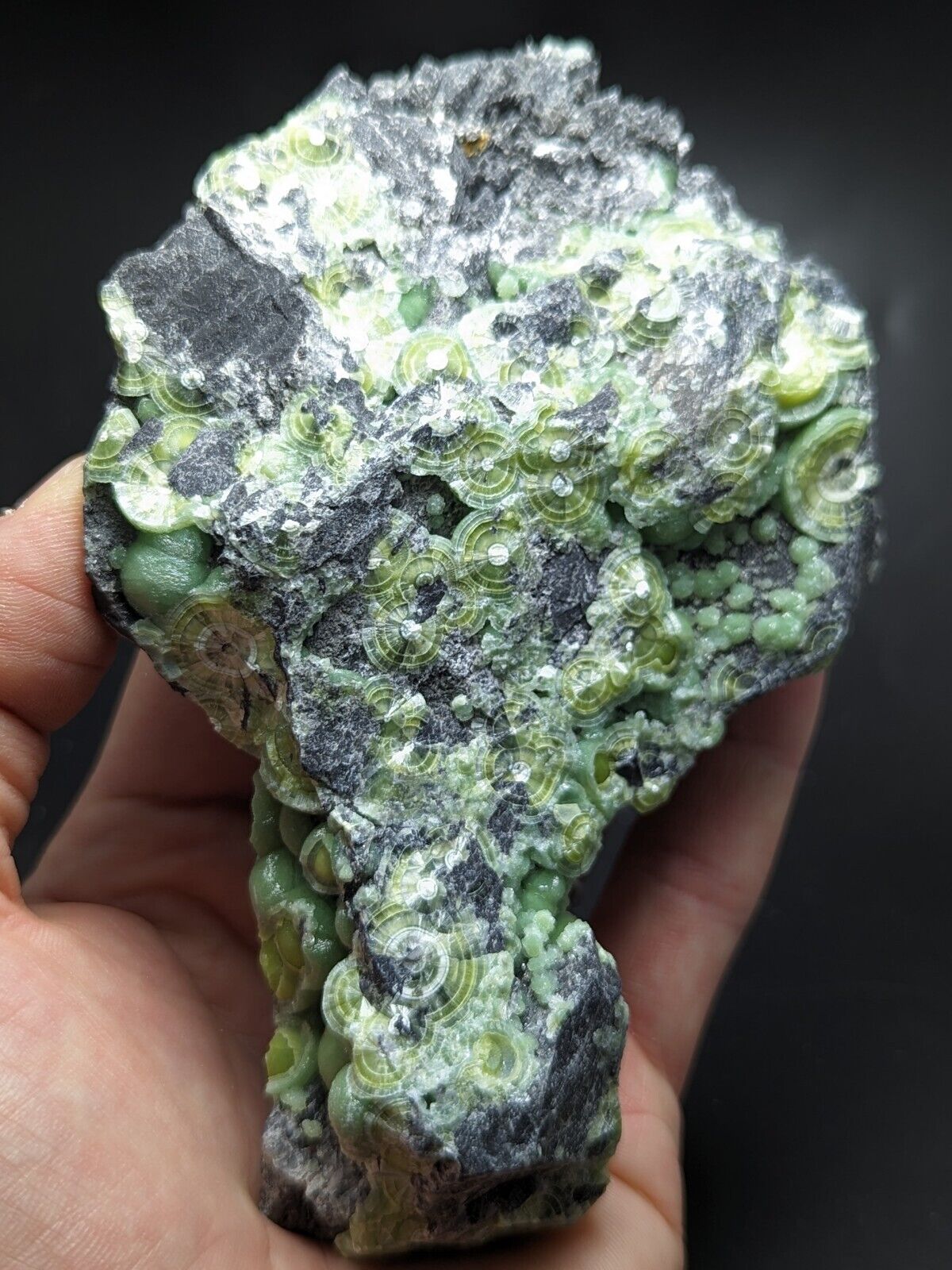Large Wavellite - Fantastic Old Stock - Mauldin Mountain Arkansas ooak - Collectibles:Rocks Fossils & Minerals:Crystals