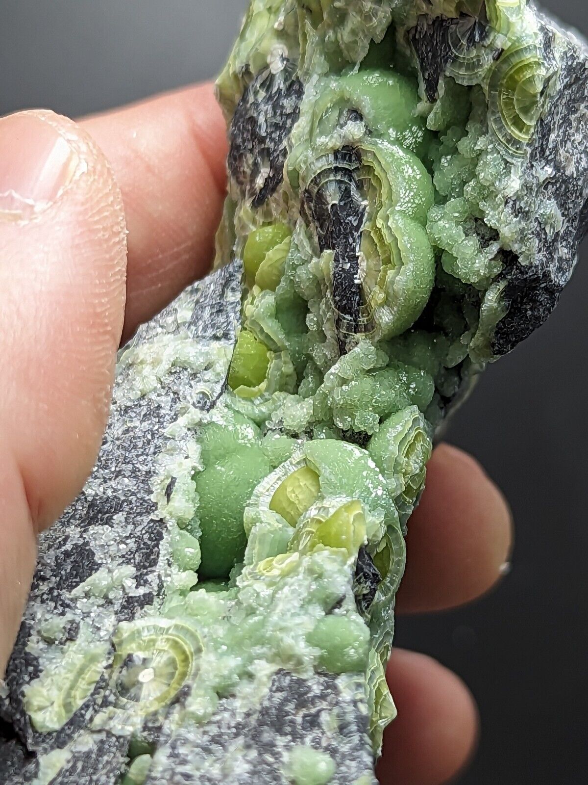 Large Wavellite - Fantastic Old Stock - Mauldin Mountain Arkansas ooak - Collectibles:Rocks Fossils & Minerals:Crystals