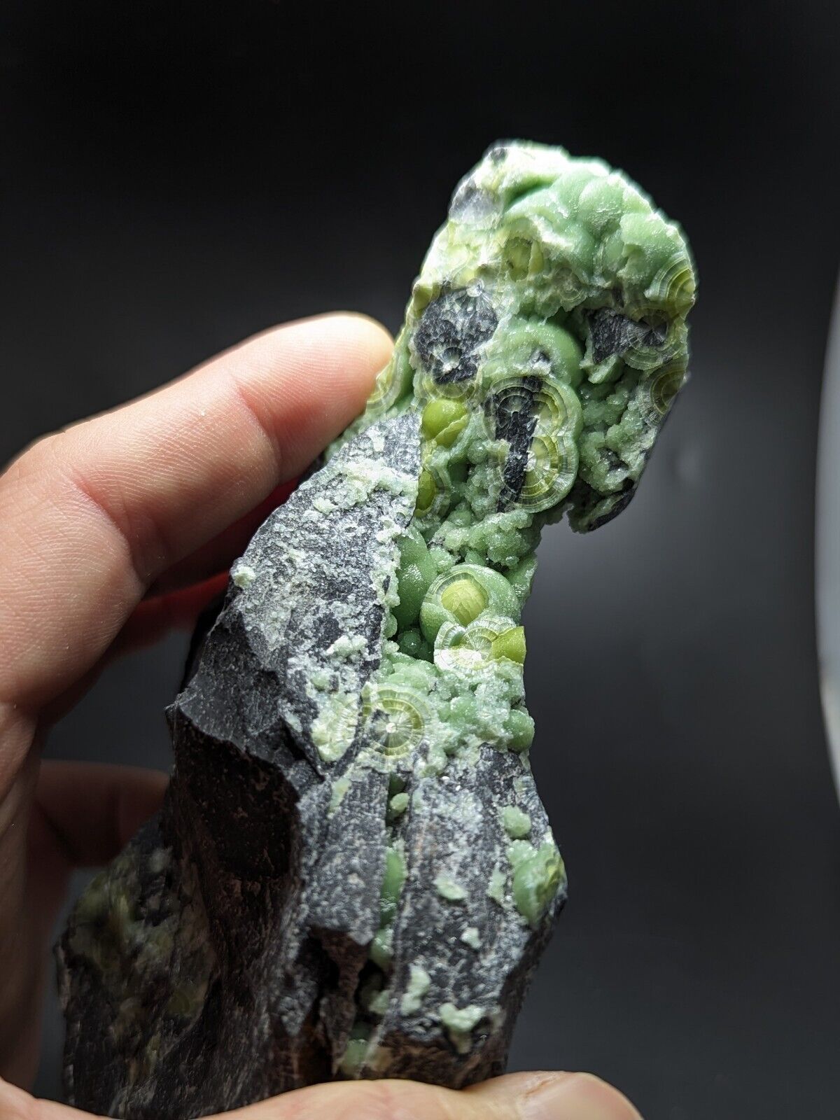 Large Wavellite - Fantastic Old Stock - Mauldin Mountain Arkansas ooak - Collectibles:Rocks Fossils & Minerals:Crystals