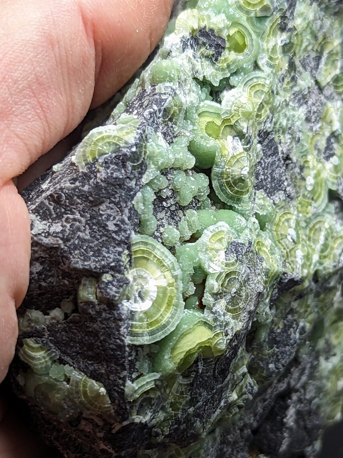 Large Wavellite - Fantastic Old Stock - Mauldin Mountain Arkansas ooak - Collectibles:Rocks Fossils & Minerals:Crystals