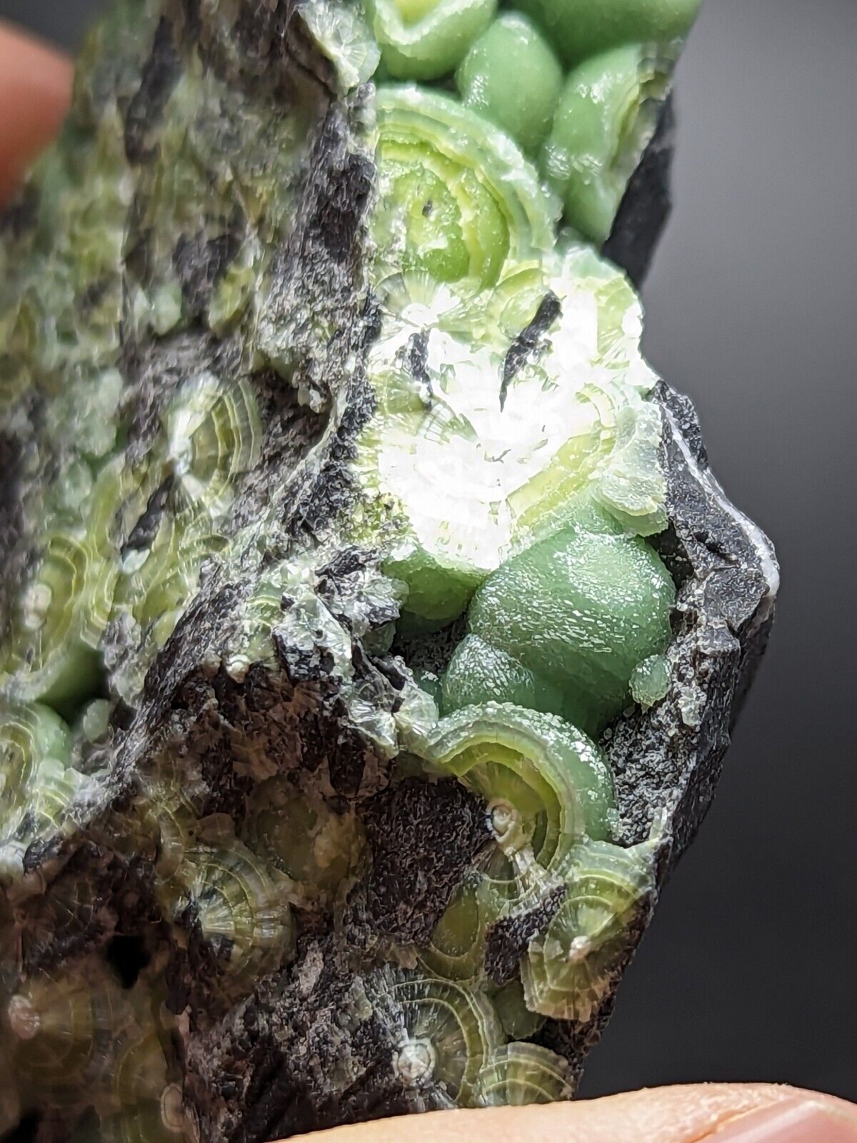 Large Wavellite - Fantastic Old Stock - Mauldin Mountain Arkansas ooak - Collectibles:Rocks Fossils & Minerals:Crystals