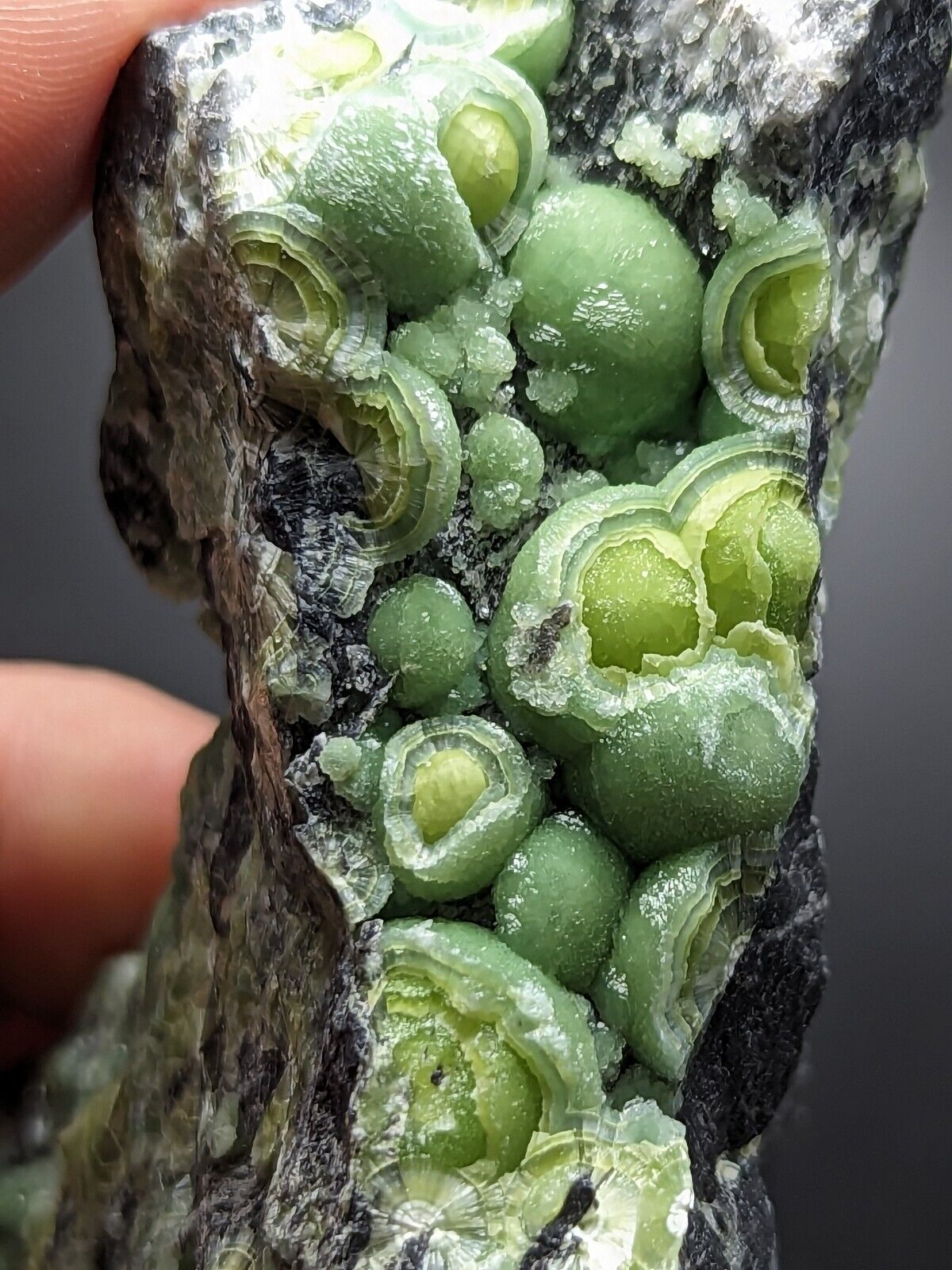 Large Wavellite - Fantastic Old Stock - Mauldin Mountain Arkansas ooak - Collectibles:Rocks Fossils & Minerals:Crystals