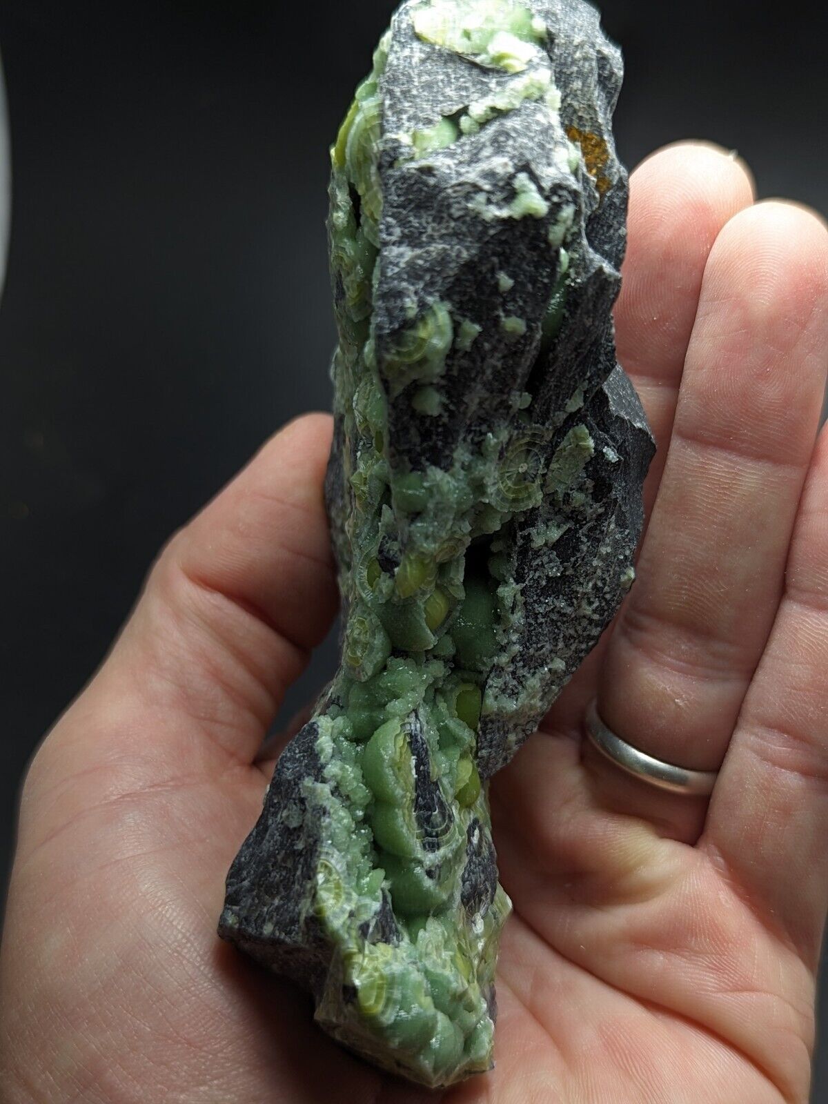 Large Wavellite - Fantastic Old Stock - Mauldin Mountain Arkansas ooak - Collectibles:Rocks Fossils & Minerals:Crystals