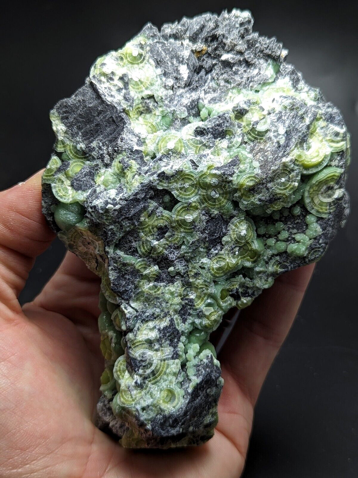 Large Wavellite - Fantastic Old Stock - Mauldin Mountain Arkansas ooak - Collectibles:Rocks Fossils & Minerals:Crystals