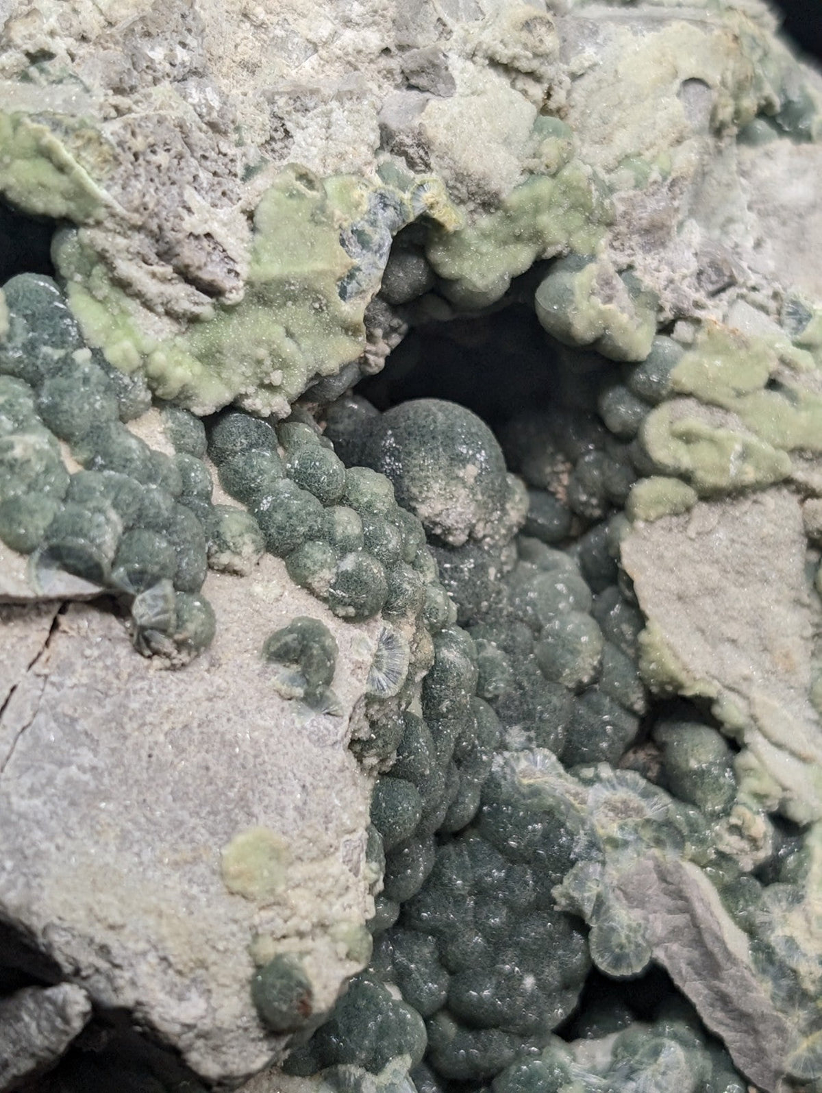 Green, bumpy, mineral-like formations clustered together on a rough, grayish rock surface.