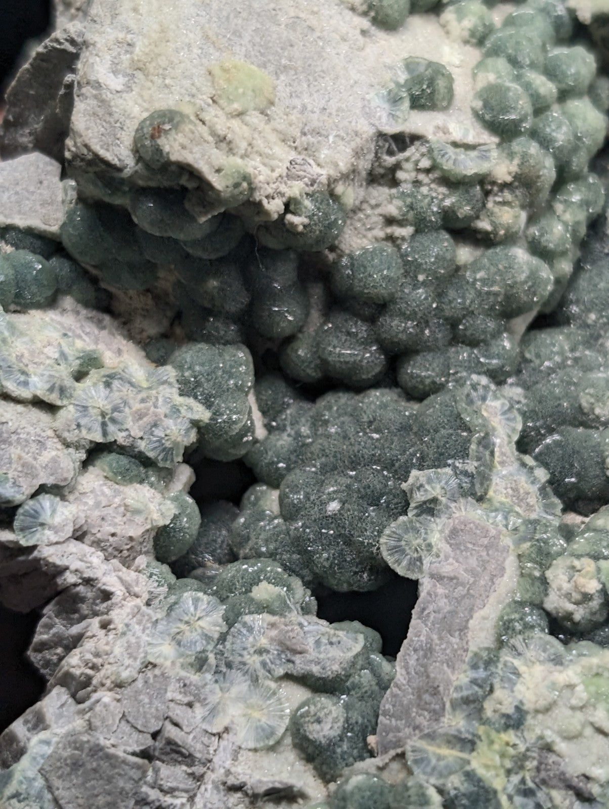 A cluster of green, translucent, bead-like mineral formations nestled within a rough, grayish rock matrix.