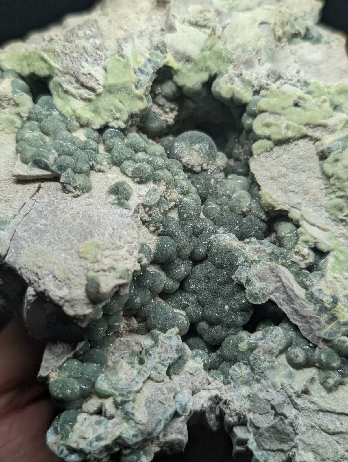A cluster of dark green, bead-like crystals embedded in a rough, light gray rock matrix with patches of pale green mineral growth.