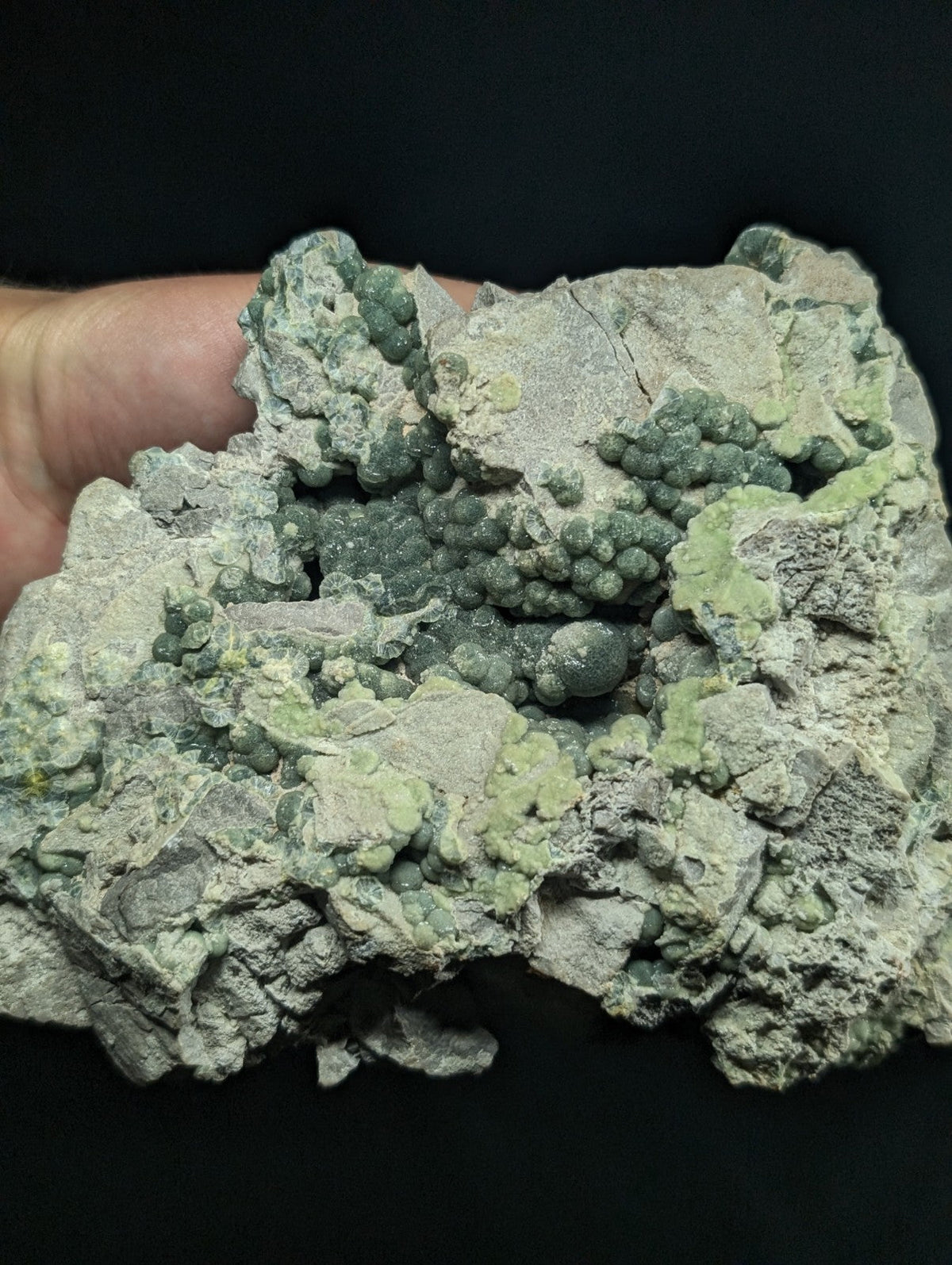 A textured, irregularly shaped mineral specimen featuring clusters of small greenish-gray spherical formations against a lighter gray matrix.