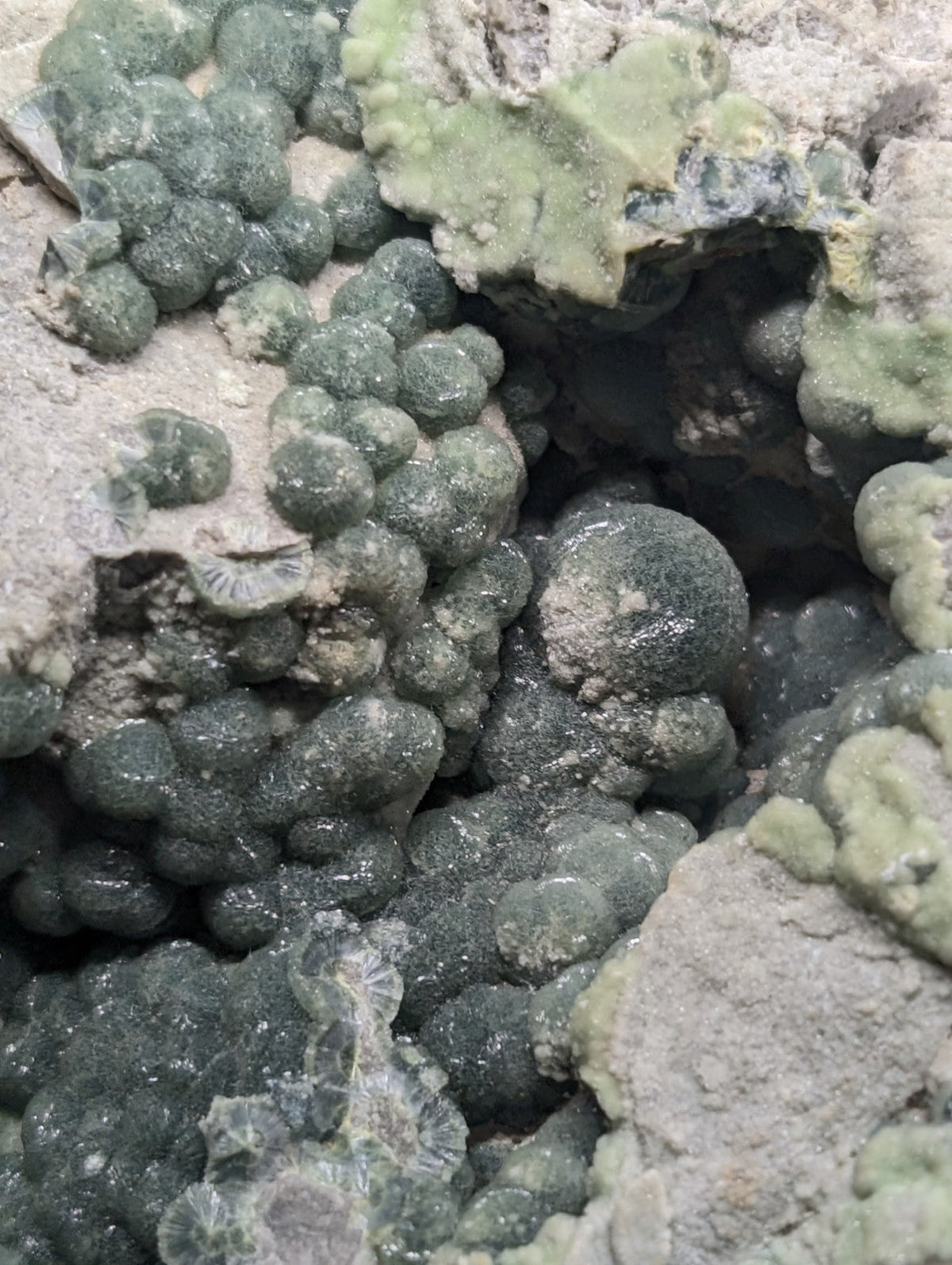 Cluster of greenish-gray, spherical mineral formations nestled among rough gray rock.