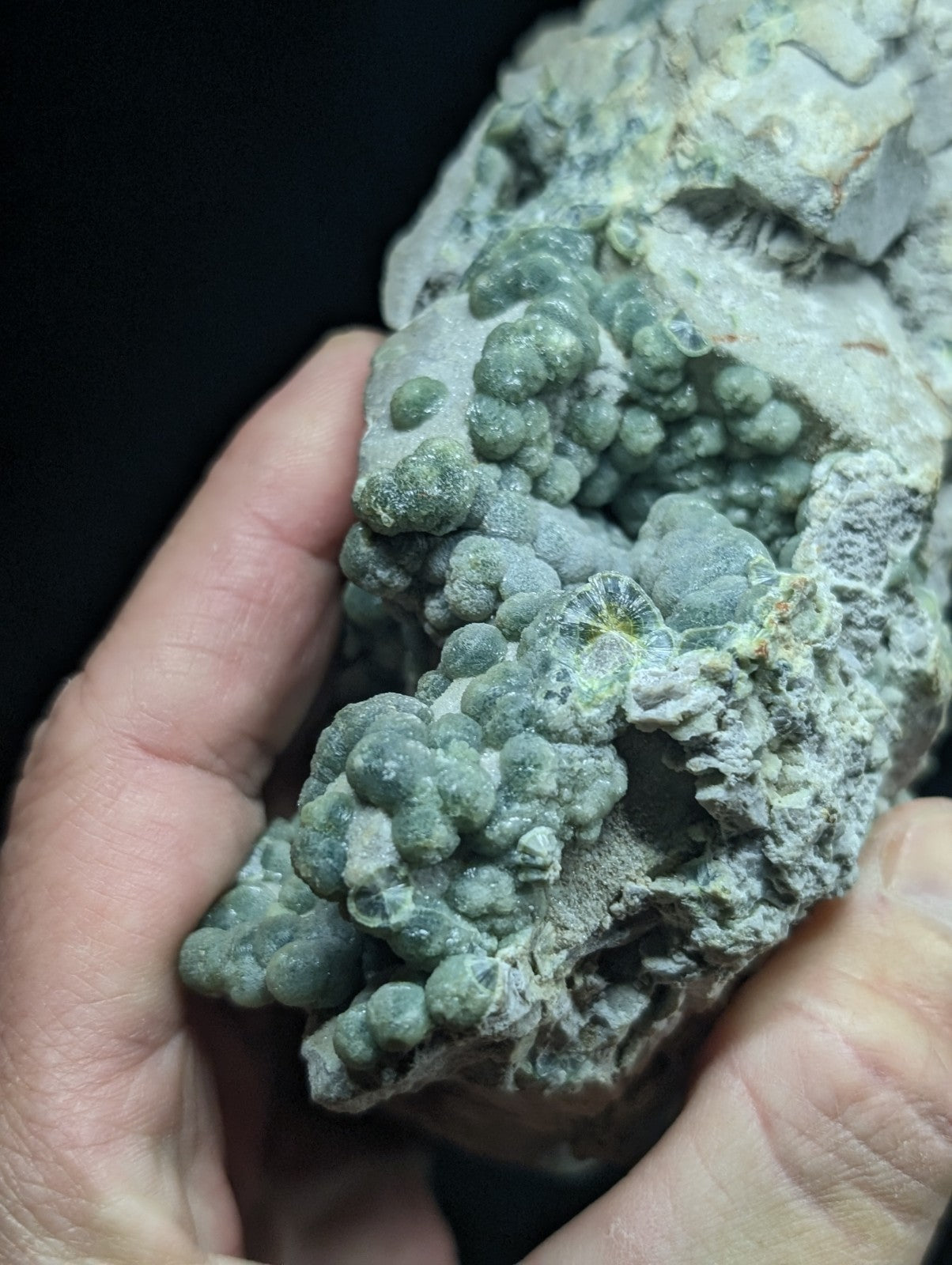 A hand holds a geological specimen featuring clusters of greenish-blue, rounded mineral formations embedded in a lighter gray matrix.