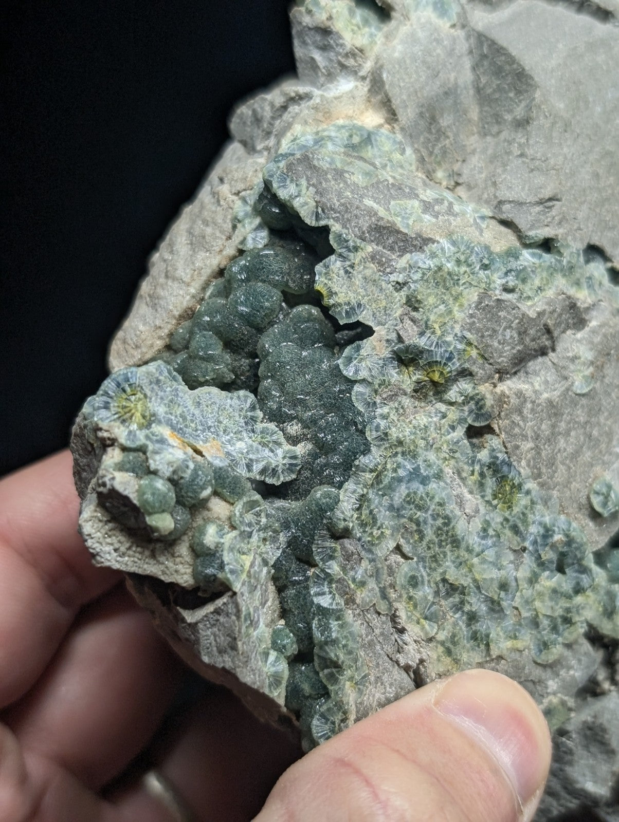 A green, translucent druzy mineral specimen embedded in a gray rock matrix.