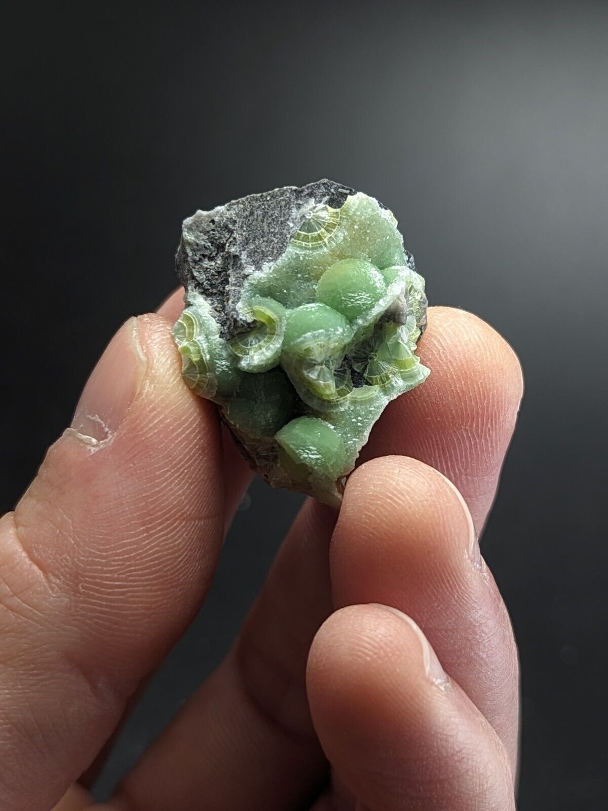 Lovely Wavellite - Fantastic Old Stock - Mauldin Mountain Arkansas ooak - Collectibles:Rocks Fossils &