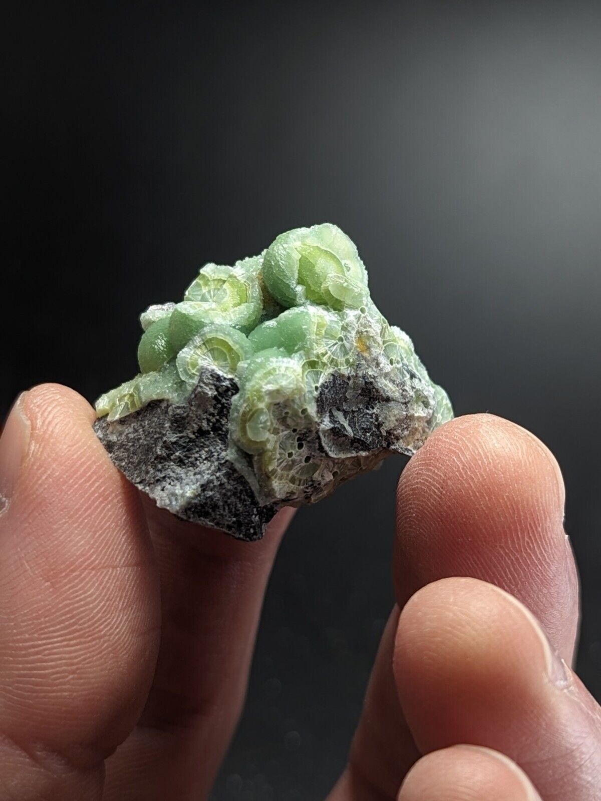 Lovely Wavellite - Fantastic Old Stock - Mauldin Mountain Arkansas ooak - Collectibles:Rocks Fossils &