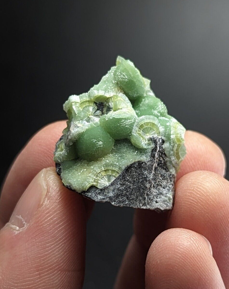 Lovely Wavellite - Fantastic Old Stock - Mauldin Mountain Arkansas ooak - Collectibles:Rocks Fossils &