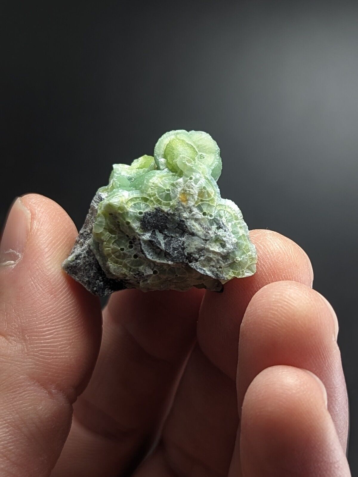 Lovely Wavellite - Fantastic Old Stock - Mauldin Mountain Arkansas ooak - Collectibles:Rocks Fossils &