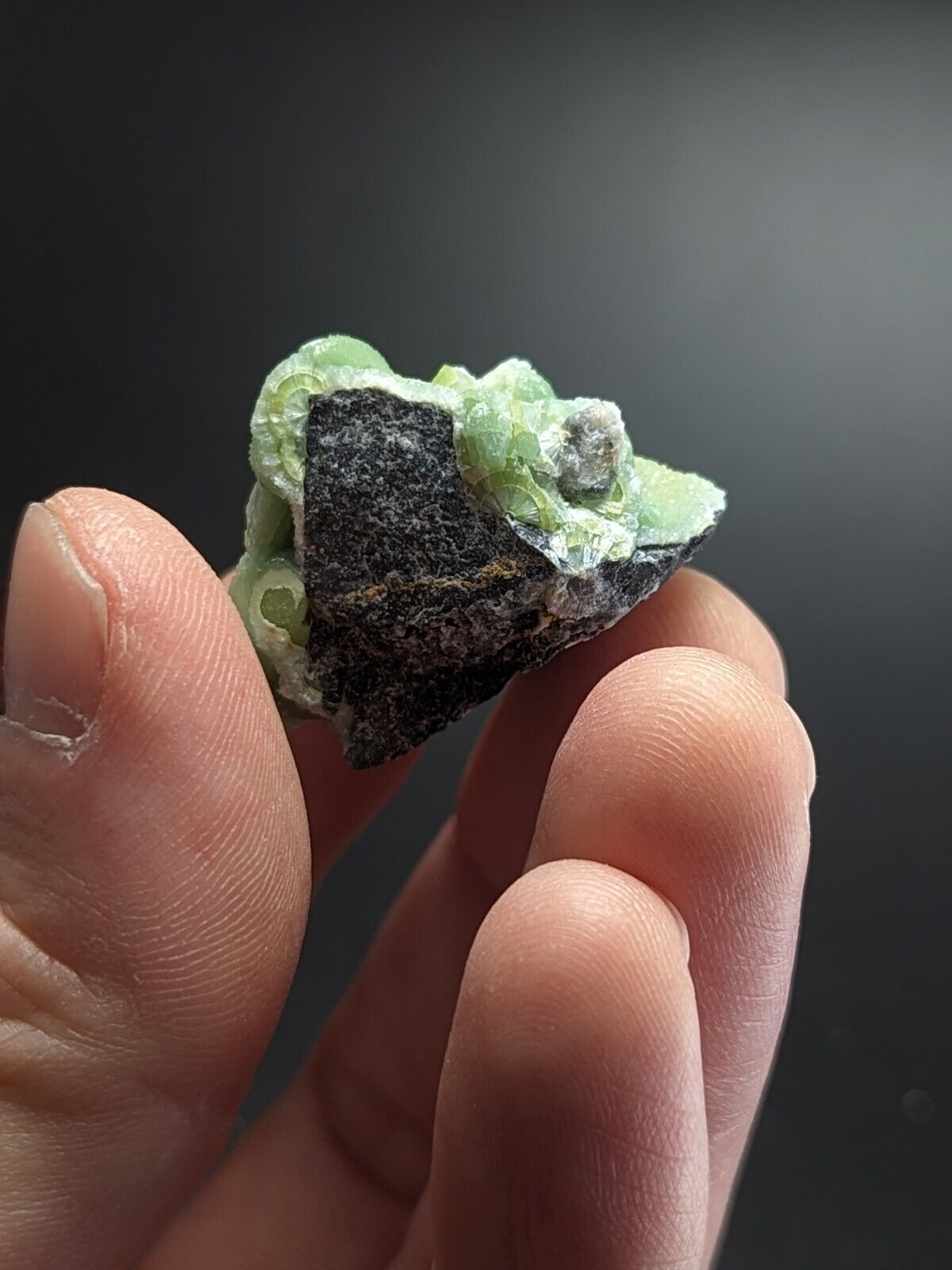 Lovely Wavellite - Fantastic Old Stock - Mauldin Mountain Arkansas ooak - Collectibles:Rocks Fossils &